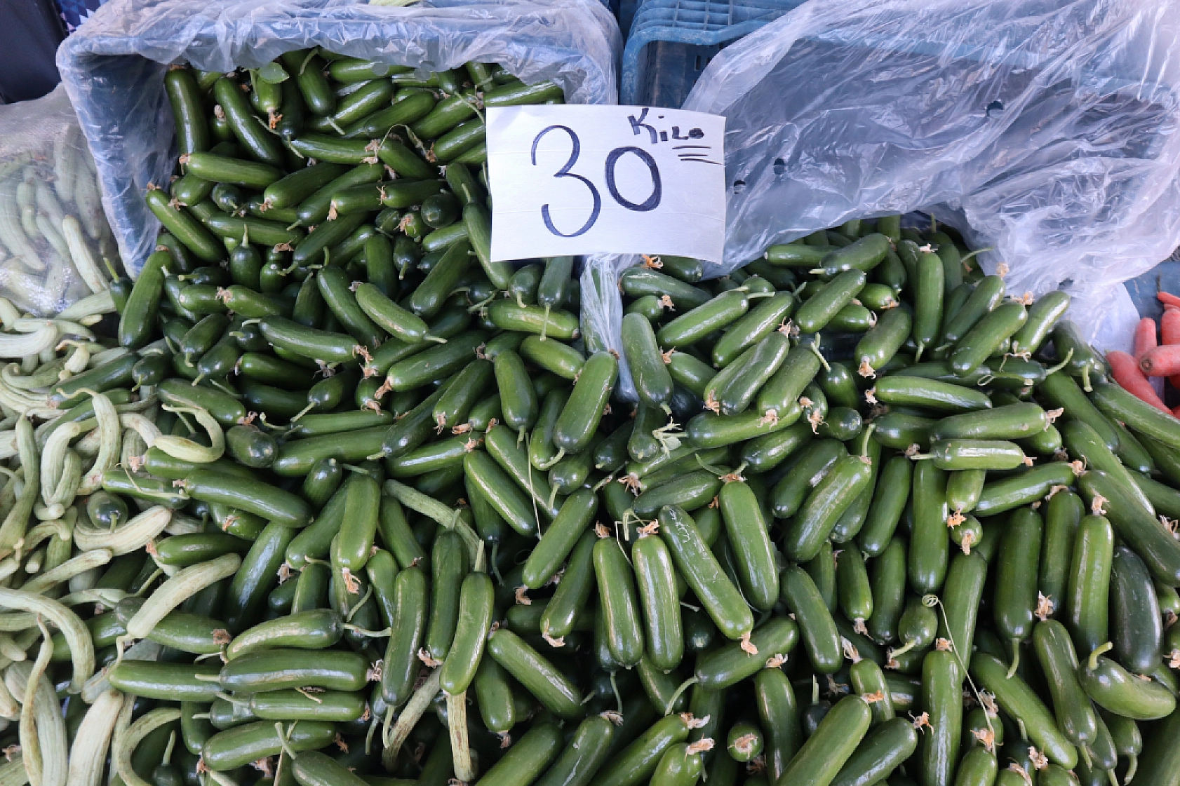 Malatyalılar uygun fiyat peşinde! Pazarda meyve fiyatları cep yakmaya devam ediyor