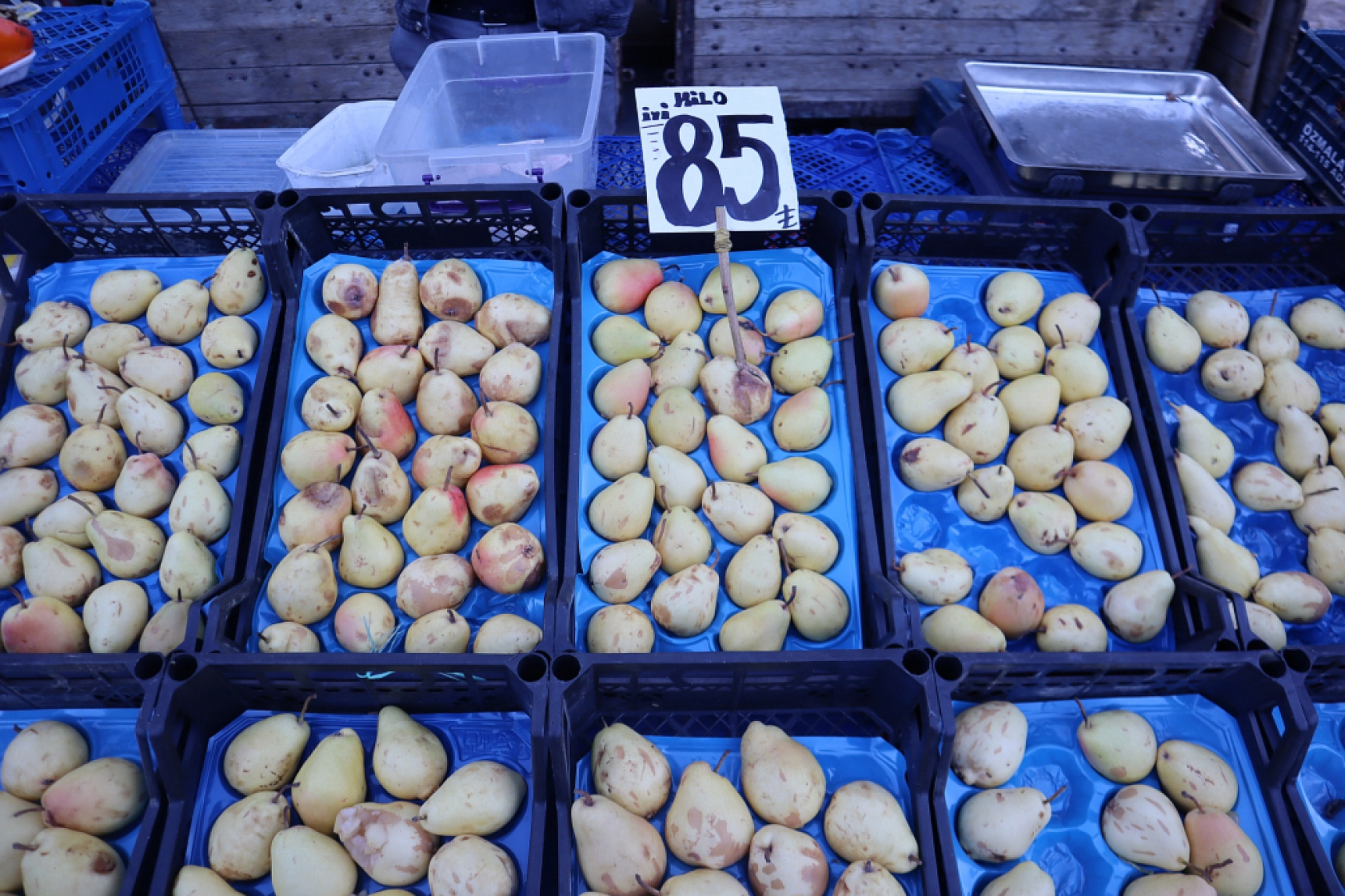 Malatyalılar uygun fiyat peşinde! Pazarda meyve fiyatları cep yakmaya devam ediyor