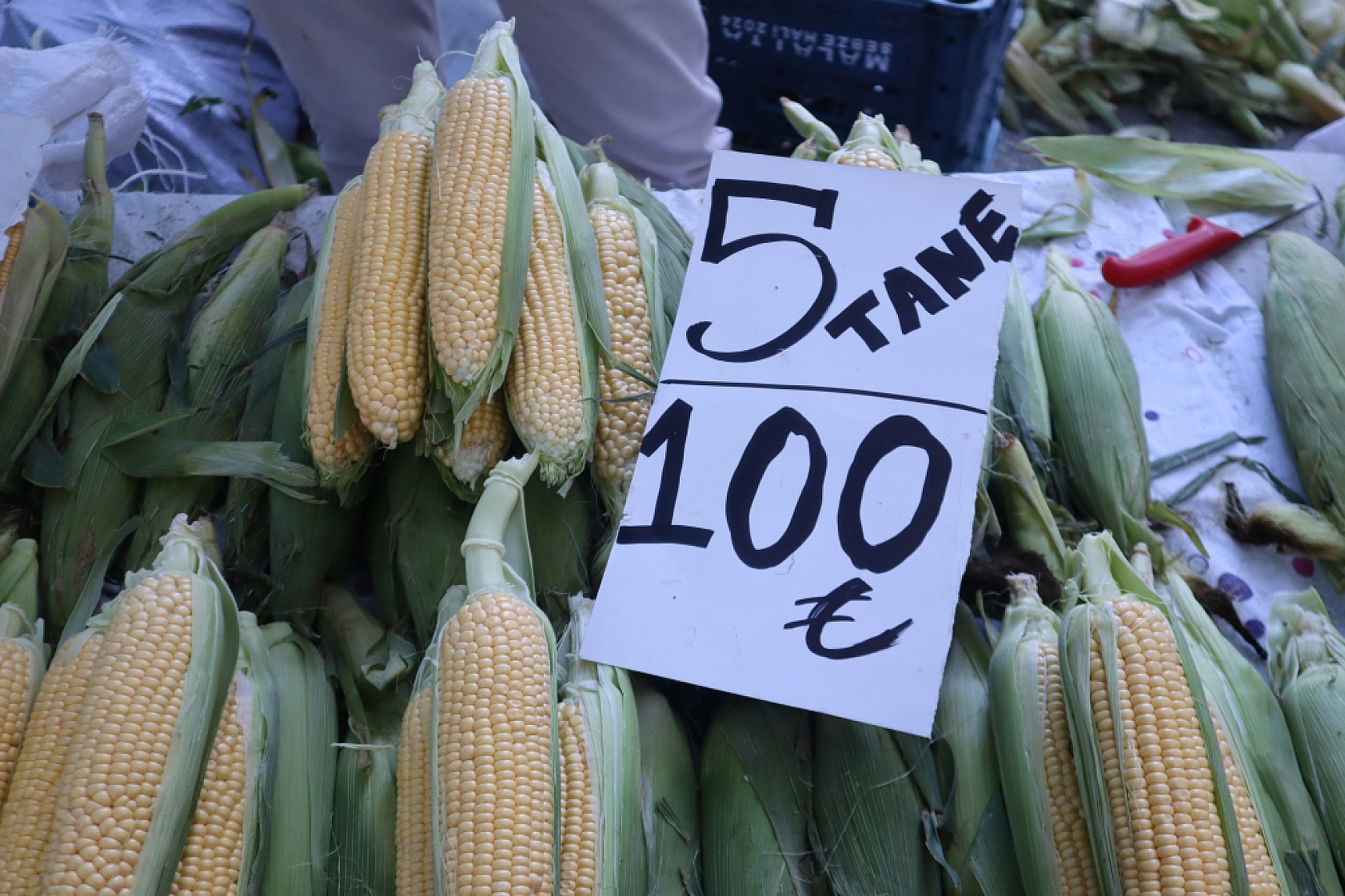Malatyalılar uygun fiyat peşinde! Pazarda meyve fiyatları cep yakmaya devam ediyor