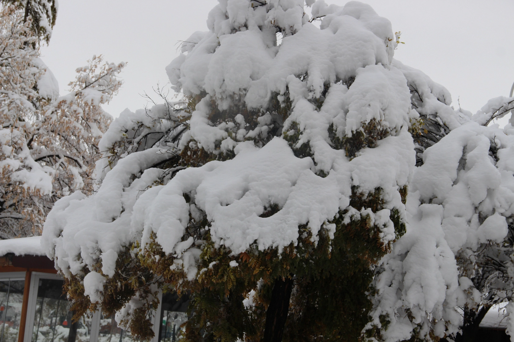 Meteoroloji Uyardı: Kara Kış Geri Geliyor! Buzlanma ve Dona Dikkat..!