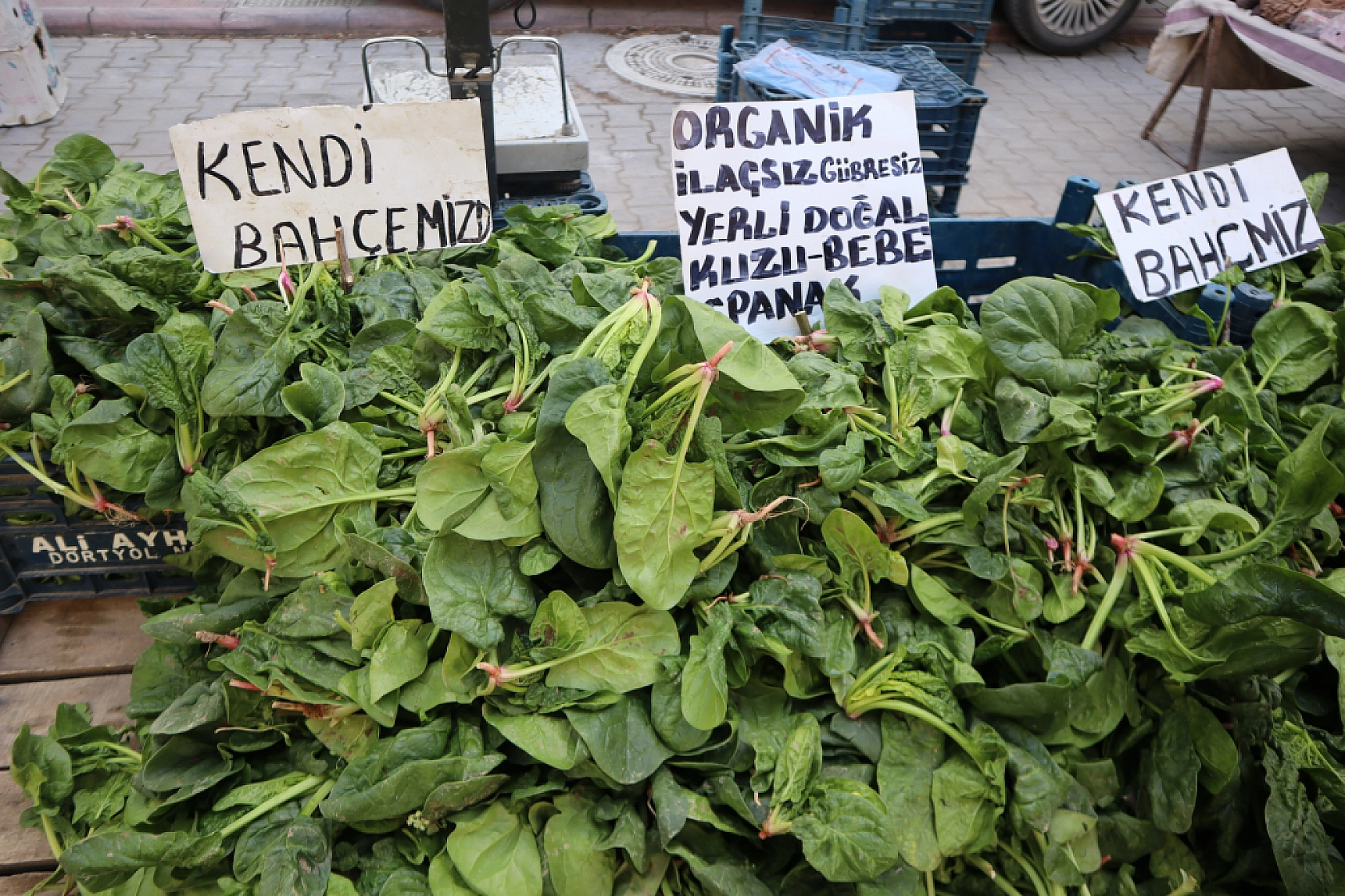 Pazarda bahar havası! Malatya'da pazar tezgahlarında hem renk hem ucuzluk var...