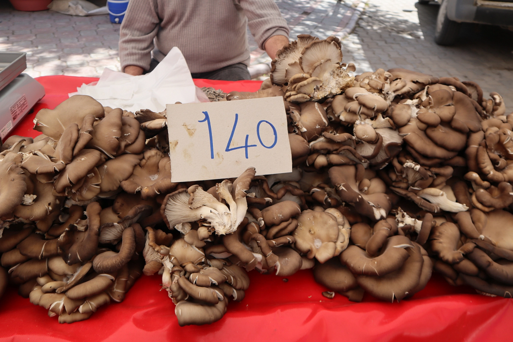 Pazarda bahar havası! Malatya'da pazar tezgahlarında hem renk hem ucuzluk var...