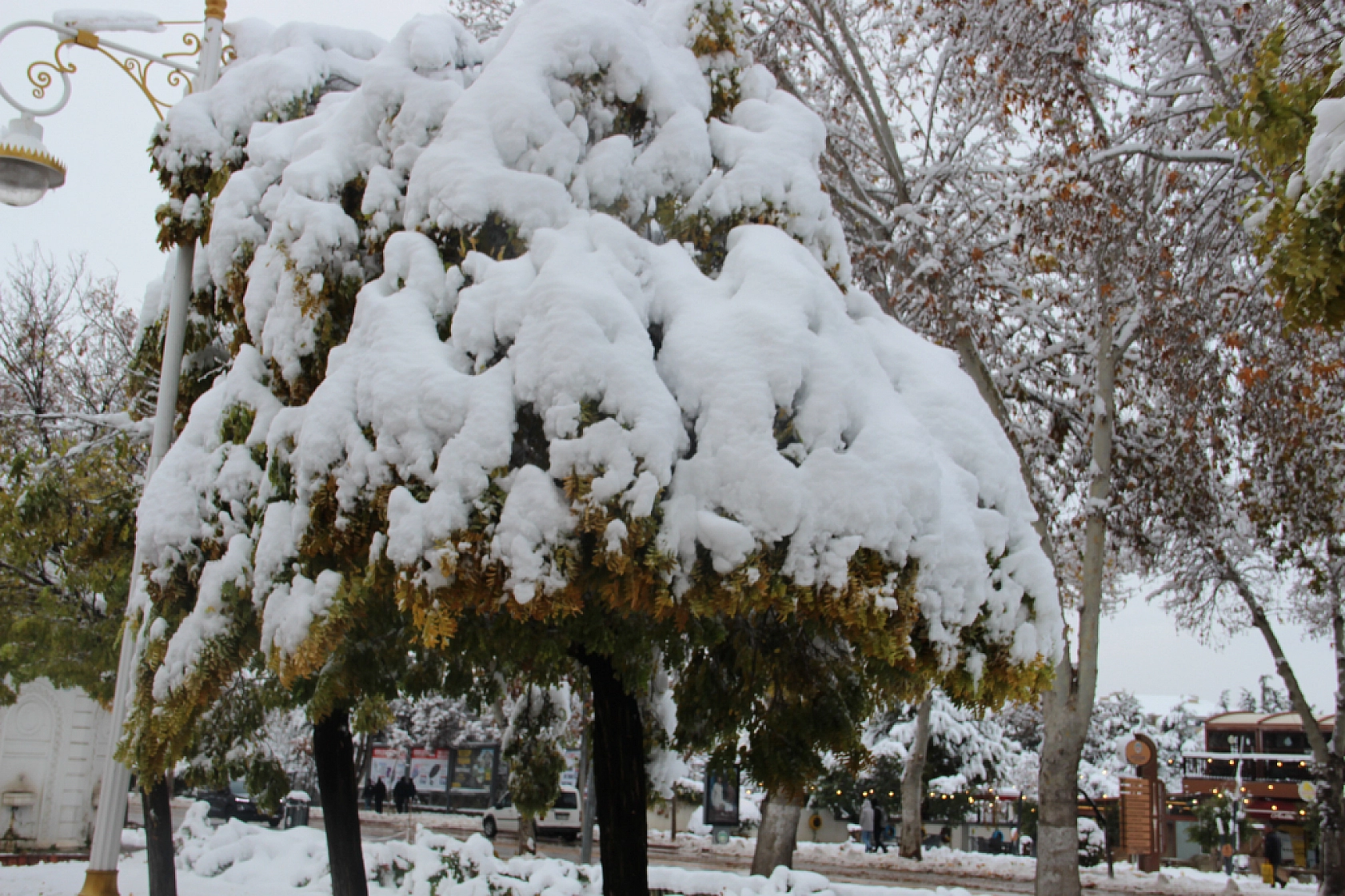 Meteoroloji Uyardı: Kara Kış Geri Geliyor! Buzlanma ve Dona Dikkat..!