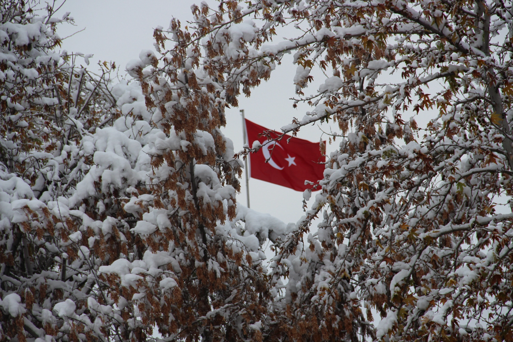 Malatya buz kesti: En düşük sıcaklık Kuluncak'ta ölçüldü