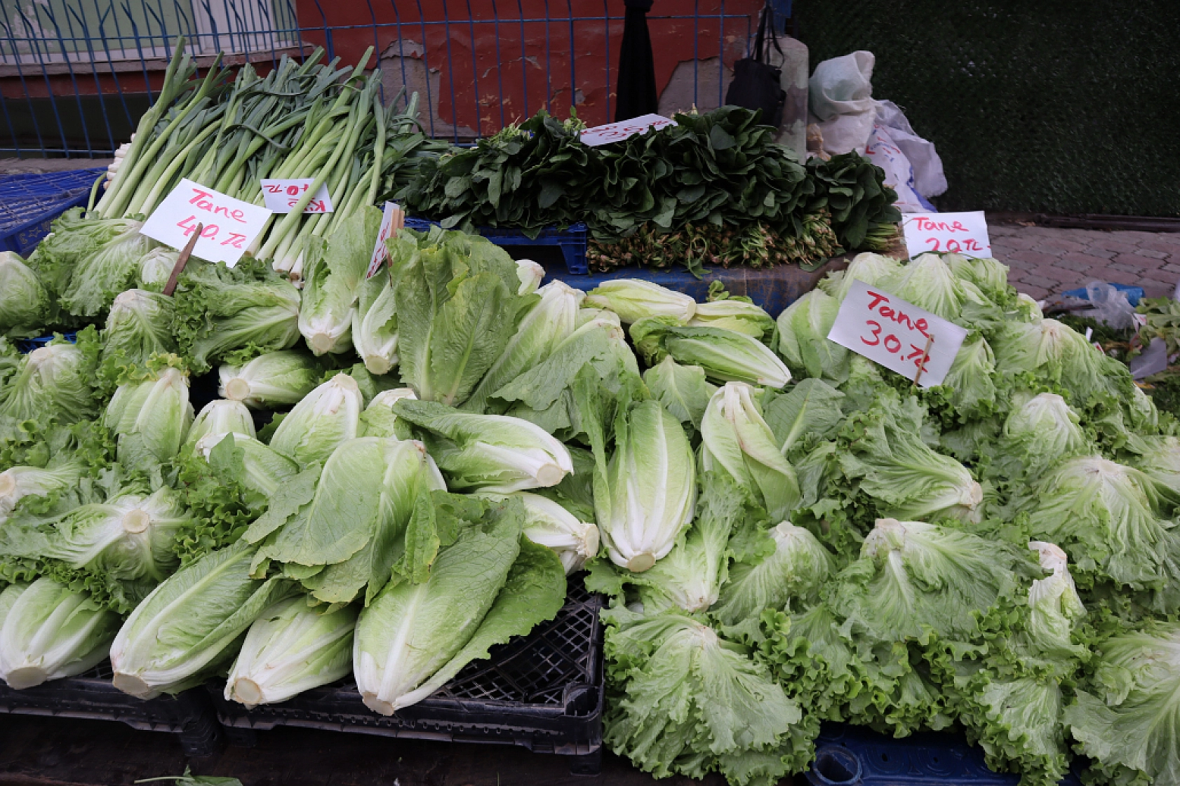 Malatya perşembe pazarında sebze meyve fiyatları....