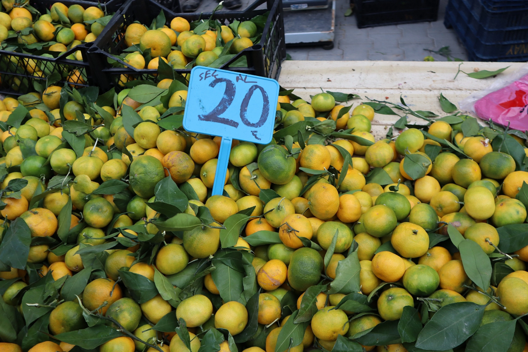 Malatya perşembe pazarında sebze meyve fiyatları....