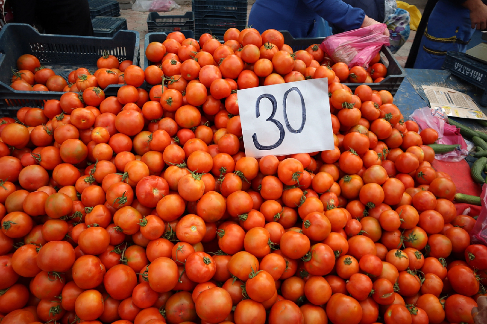 Malatya perşembe pazarında sebze meyve fiyatları....