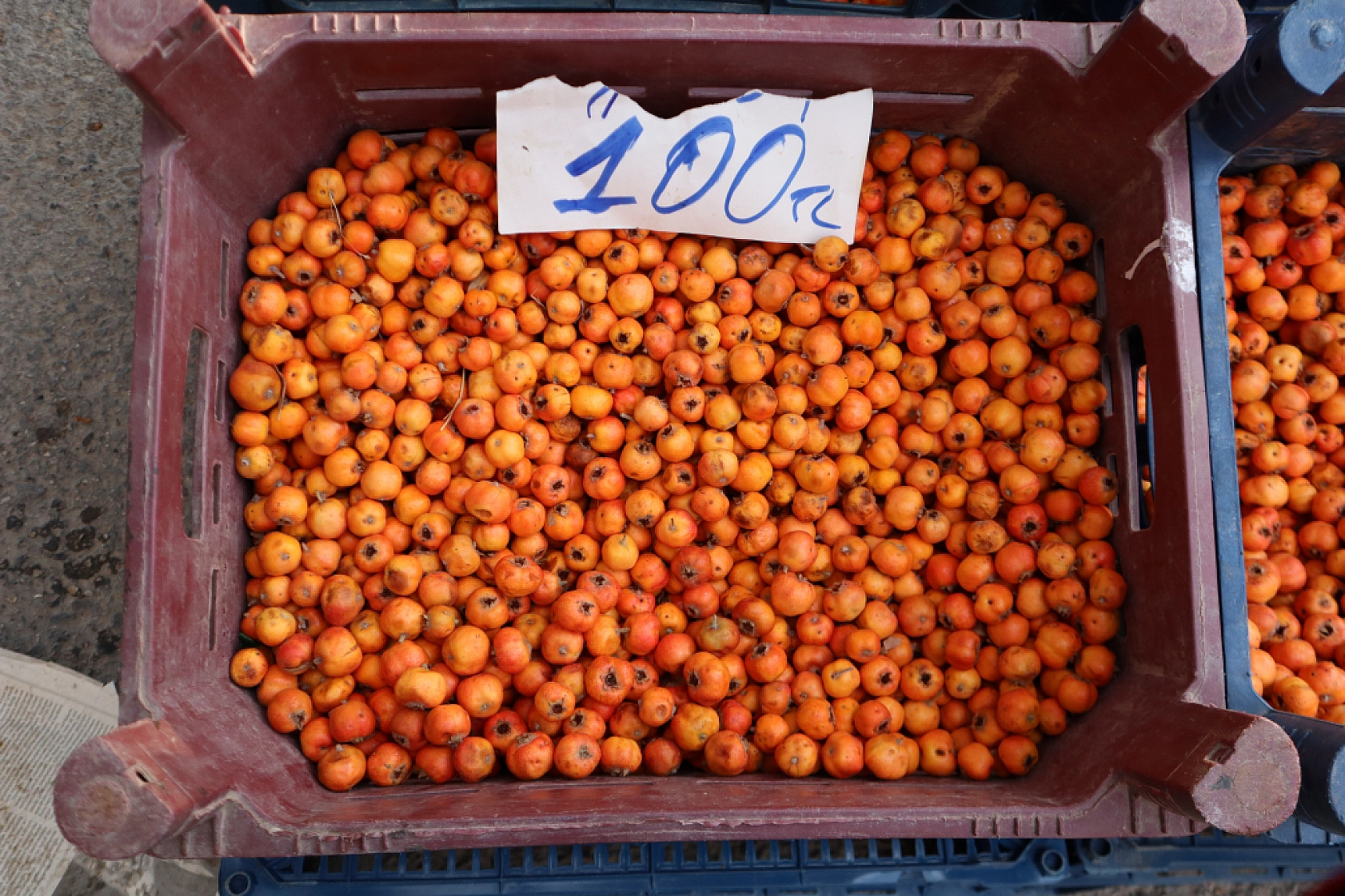 Malatya perşembe pazarında sebze meyve fiyatları....