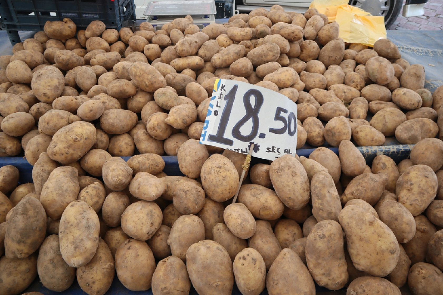 Pazarda Bahar Coşkusu: Renk Geldi, Fiyatlar Geriledi