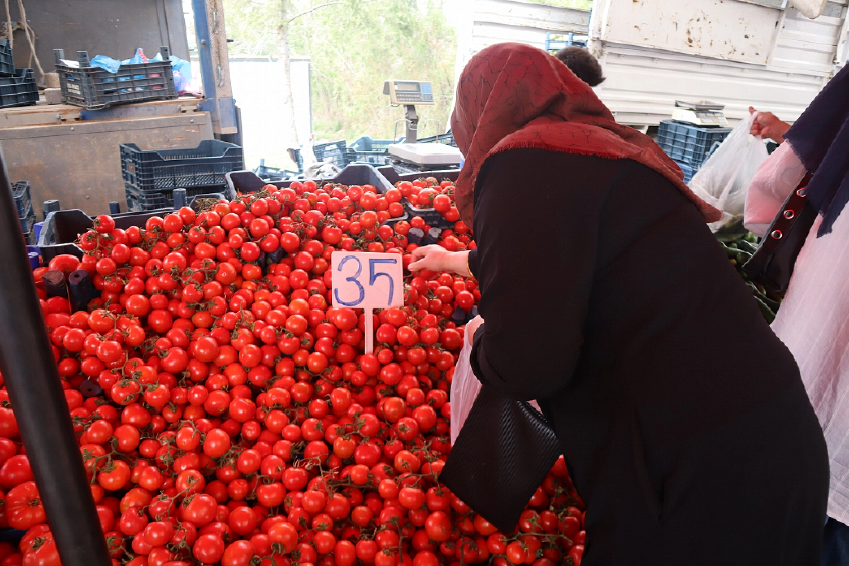Pazarda Bahar Coşkusu: Renk Geldi, Fiyatlar Geriledi