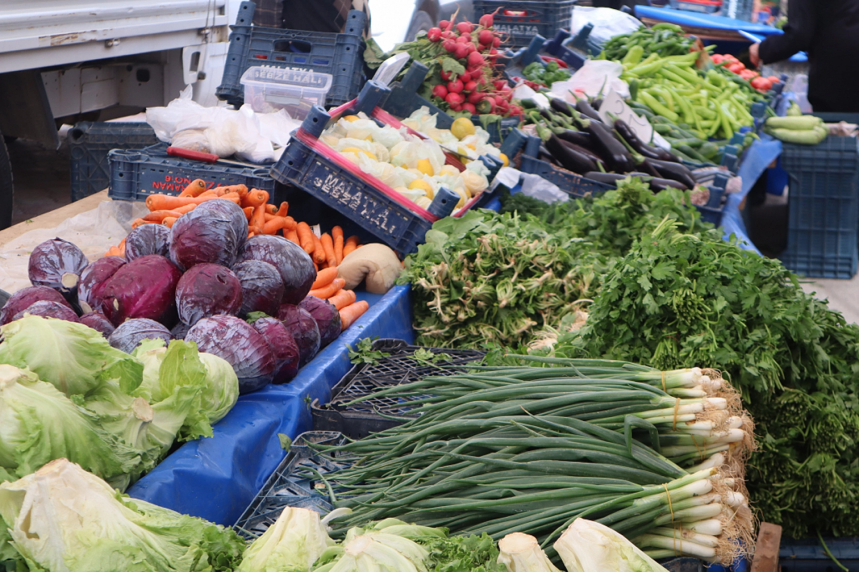Pazarda Bahar Coşkusu: Renk Geldi, Fiyatlar Geriledi