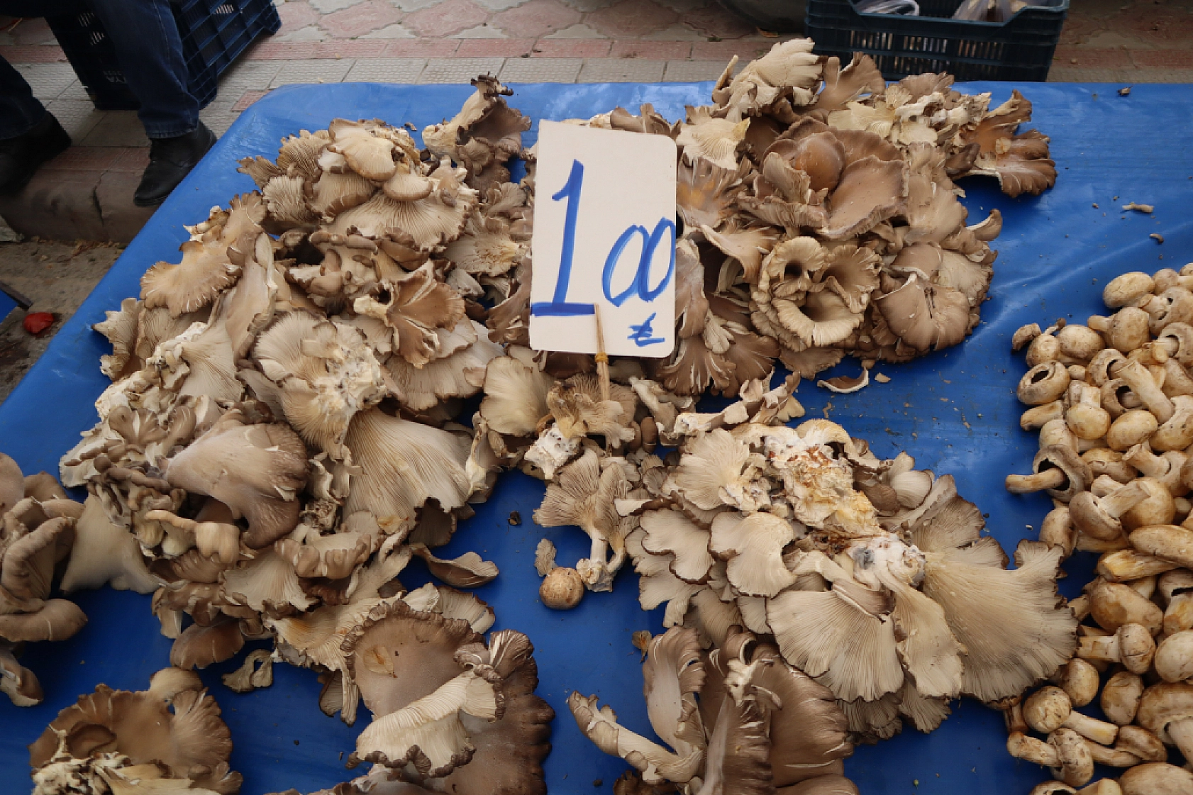 Pazarda Bahar Coşkusu: Renk Geldi, Fiyatlar Geriledi