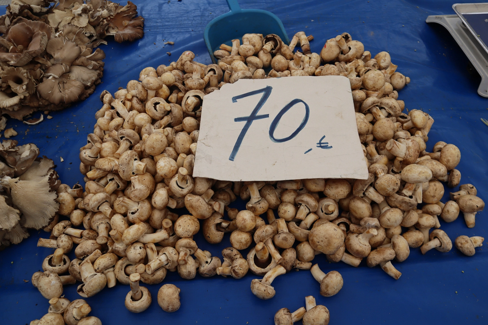 Pazarda Bahar Coşkusu: Renk Geldi, Fiyatlar Geriledi