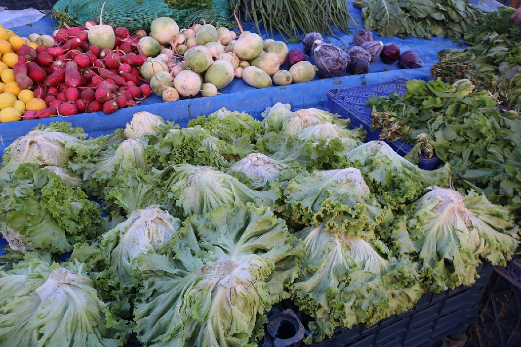 Malatya'da Kar Pazar Fiyatlarını Nasıl Etkiledi? Haftanın Zam Şampiyonu Kara Lahana Oldu!