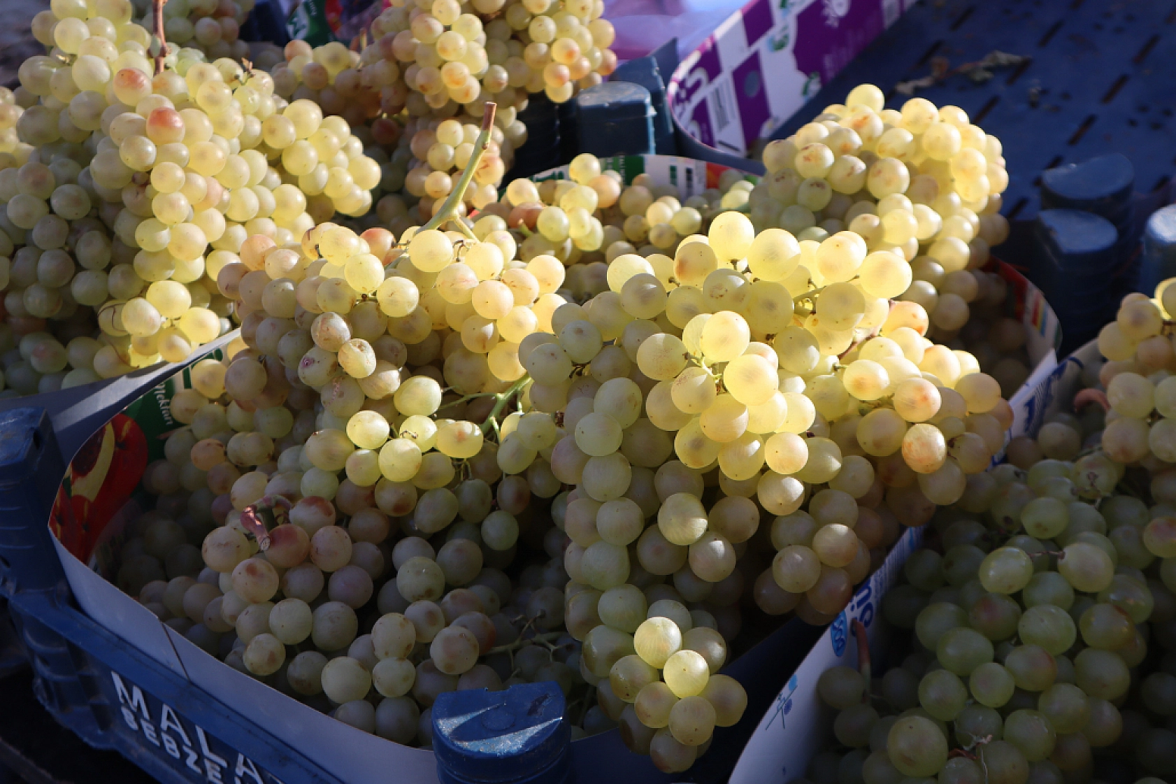 Malatya'da Kar Pazar Fiyatlarını Nasıl Etkiledi? Haftanın Zam Şampiyonu Kara Lahana Oldu!