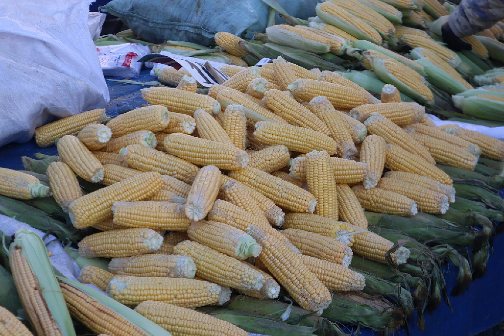 Malatya'da Kar Pazar Fiyatlarını Nasıl Etkiledi? Haftanın Zam Şampiyonu Kara Lahana Oldu!