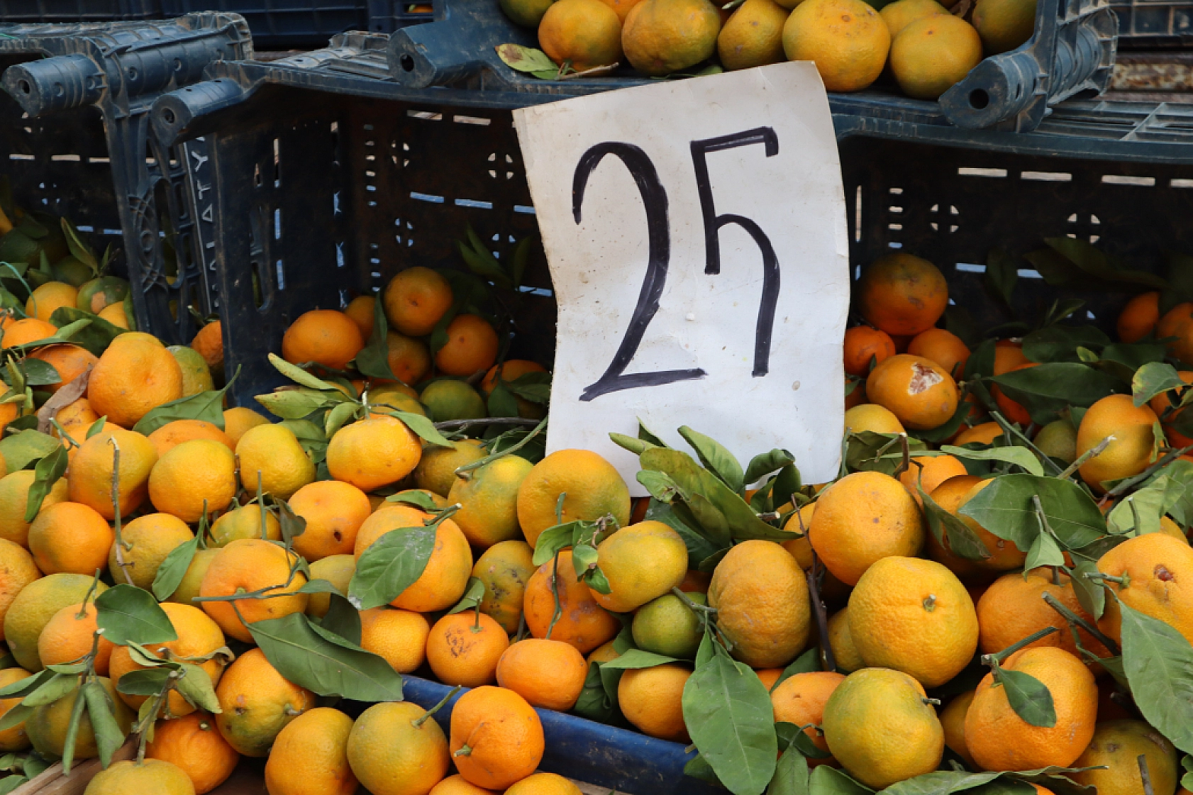 Malatya'da perşembe pazarında sebze fiyatları yüz güldürdü, meyve tezgâhları yine cep yaktı