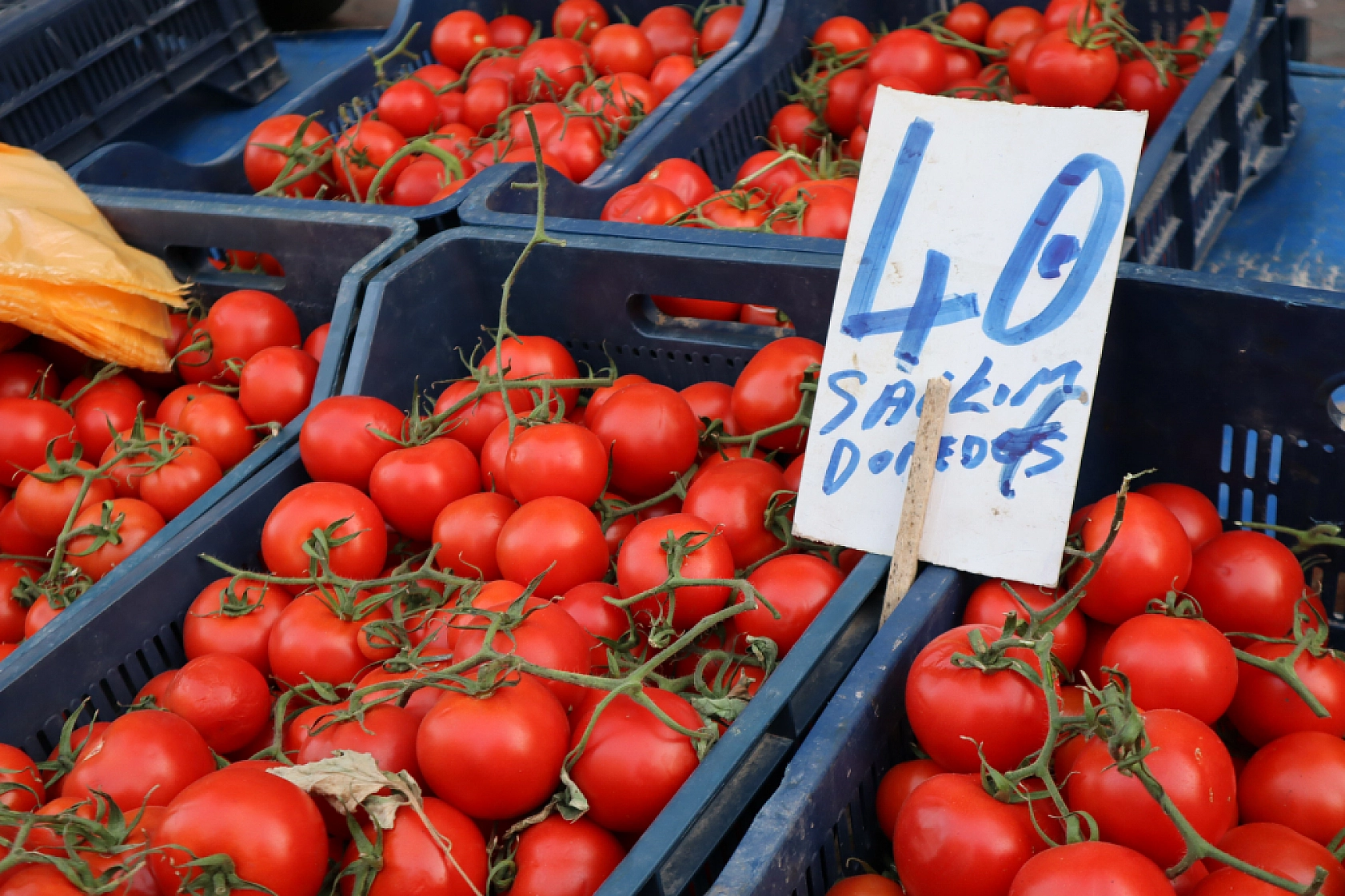 Malatya'da perşembe pazarında sebze fiyatları yüz güldürdü, meyve tezgâhları yine cep yaktı
