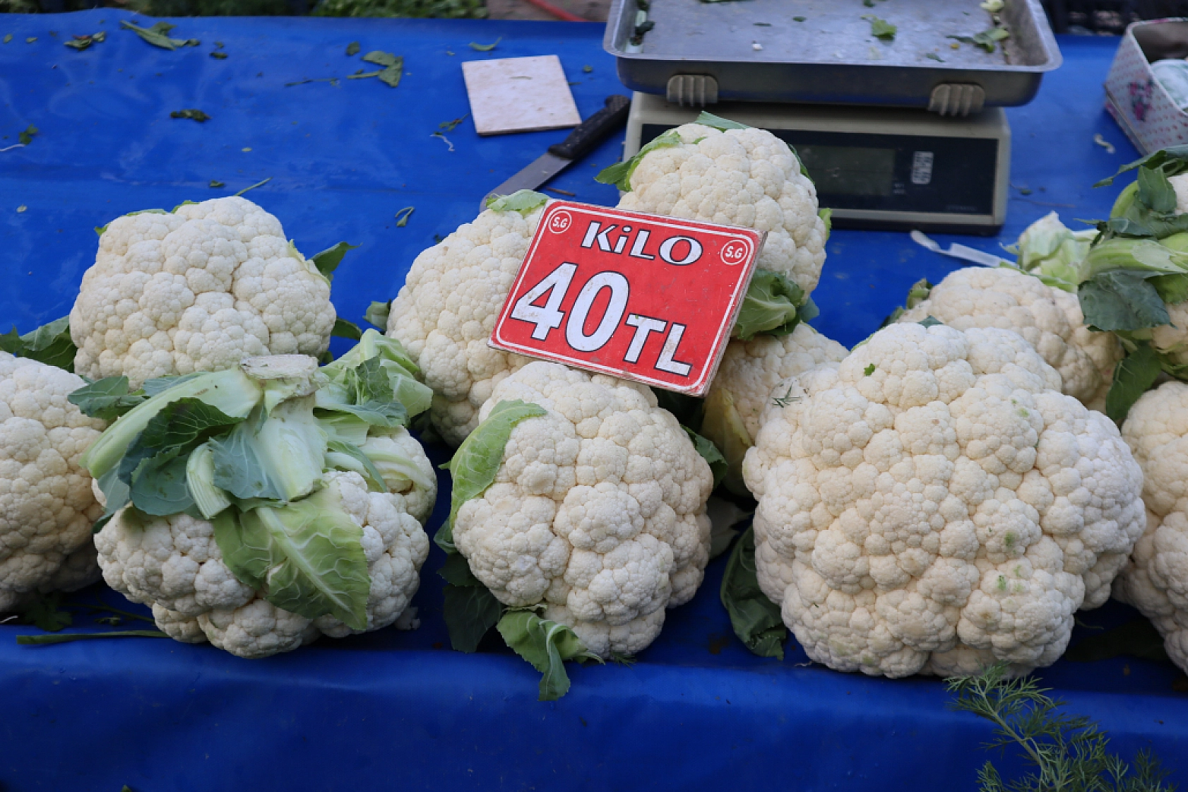 Malatya'da perşembe pazarında sebze fiyatları yüz güldürdü, meyve tezgâhları yine cep yaktı