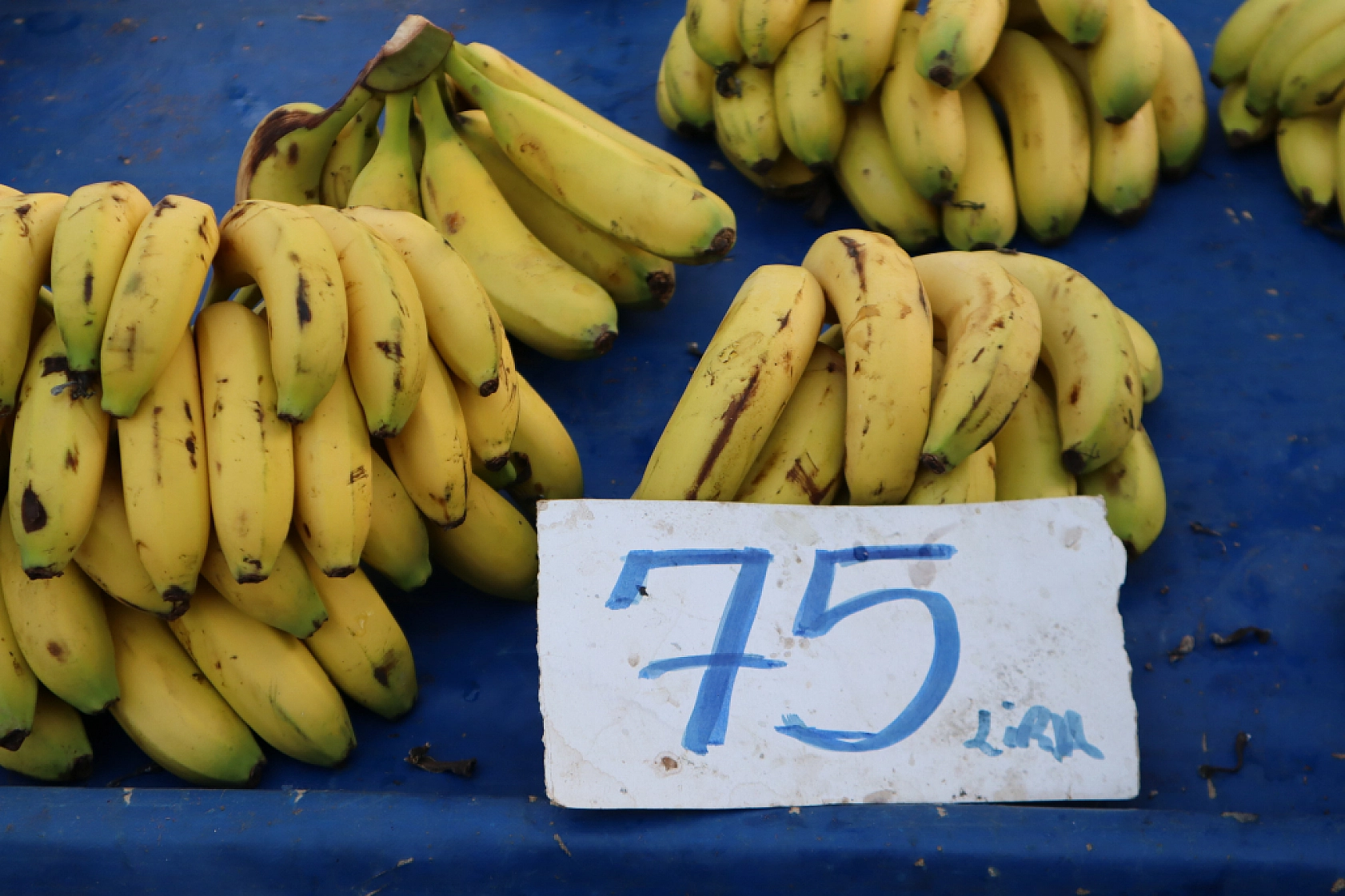 Malatya'da perşembe pazarında sebze fiyatları yüz güldürdü, meyve tezgâhları yine cep yaktı