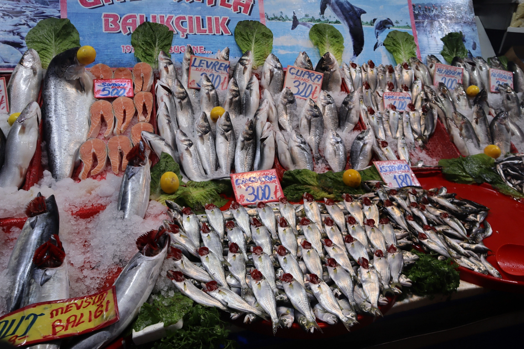 Malatya'da Balık Sezonu Başladı! En Ucuz Balık Hangisi? İşte Fiyatlar...
