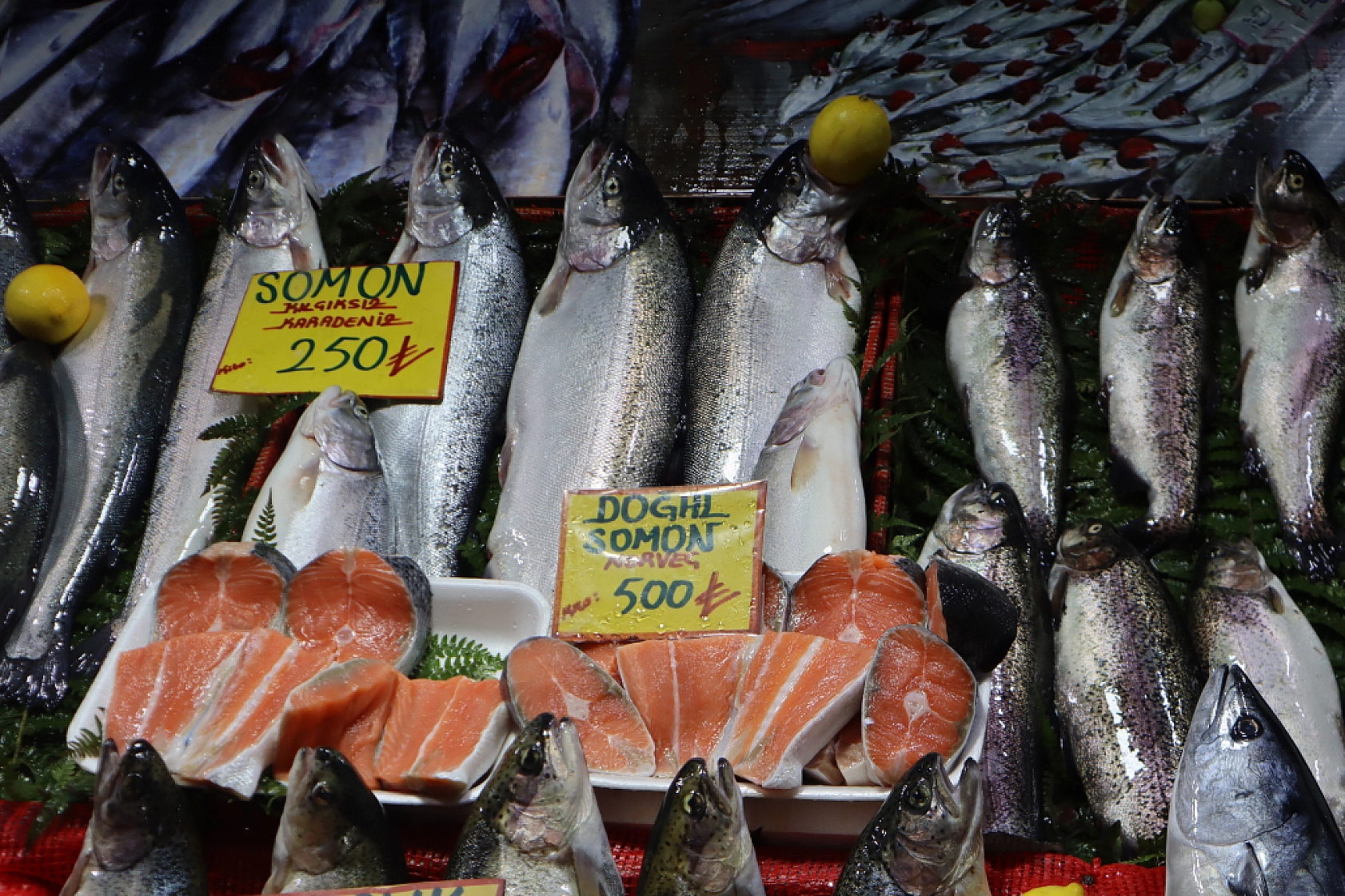 Malatya'da Balık Sezonu Başladı! En Ucuz Balık Hangisi? İşte Fiyatlar...