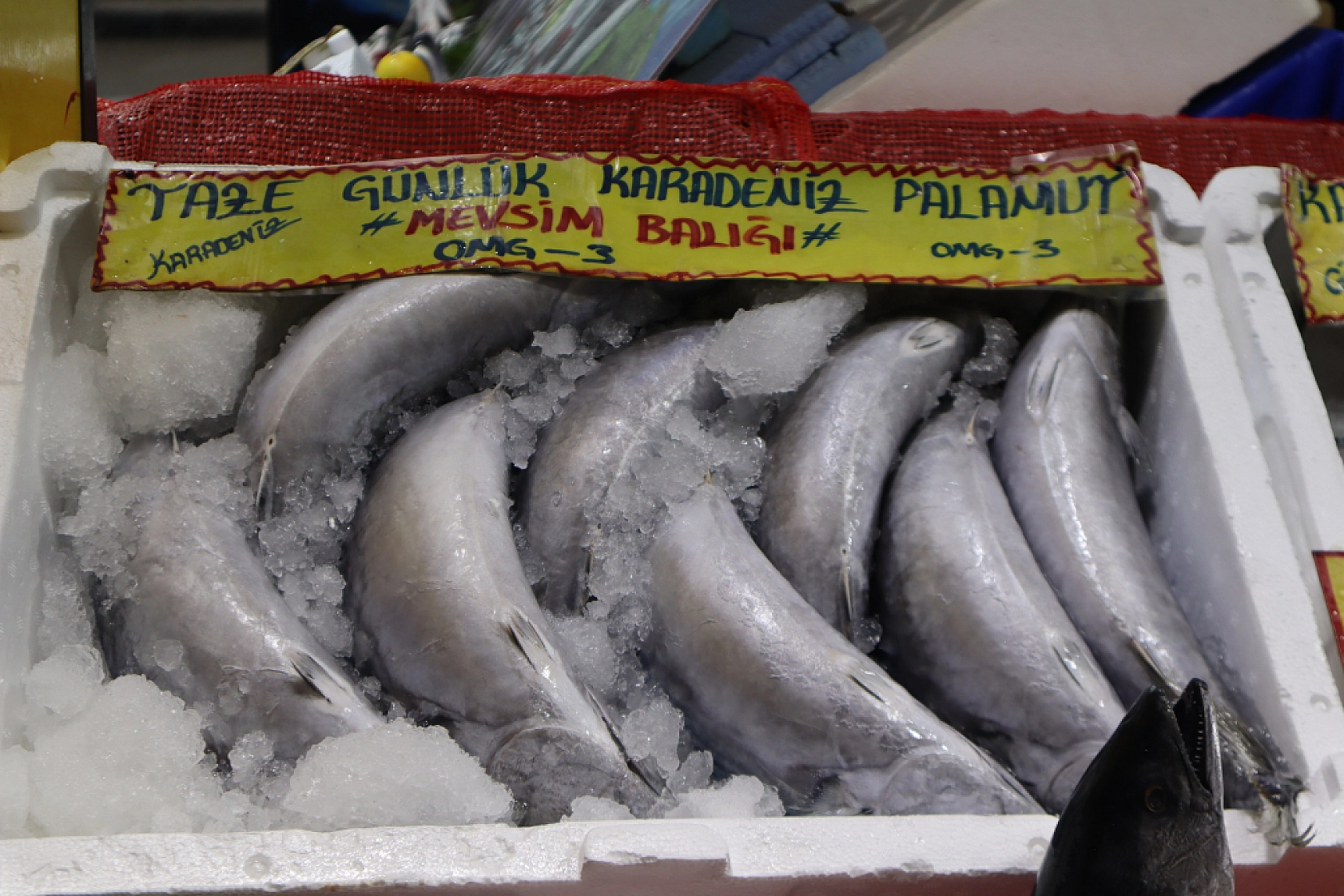 Malatya'da Balık Sezonu Başladı! En Ucuz Balık Hangisi? İşte Fiyatlar...