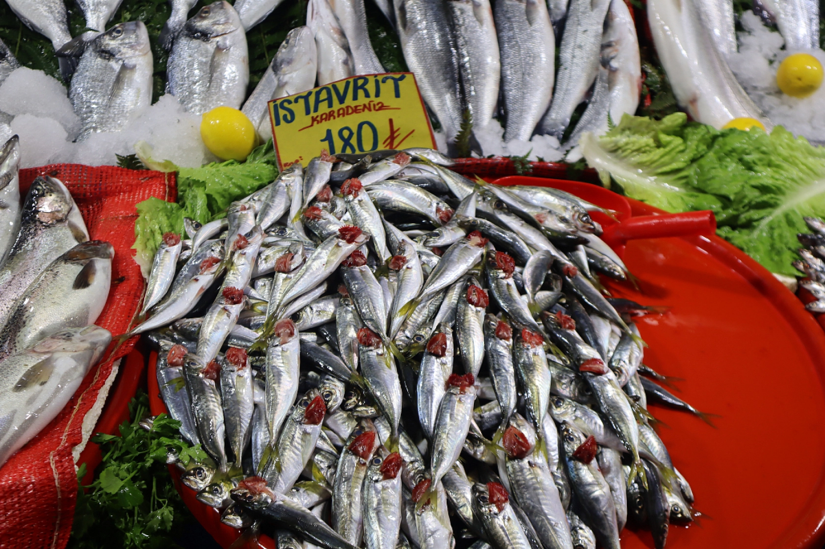 Malatya'da Balık Sezonu Başladı! En Ucuz Balık Hangisi? İşte Fiyatlar...