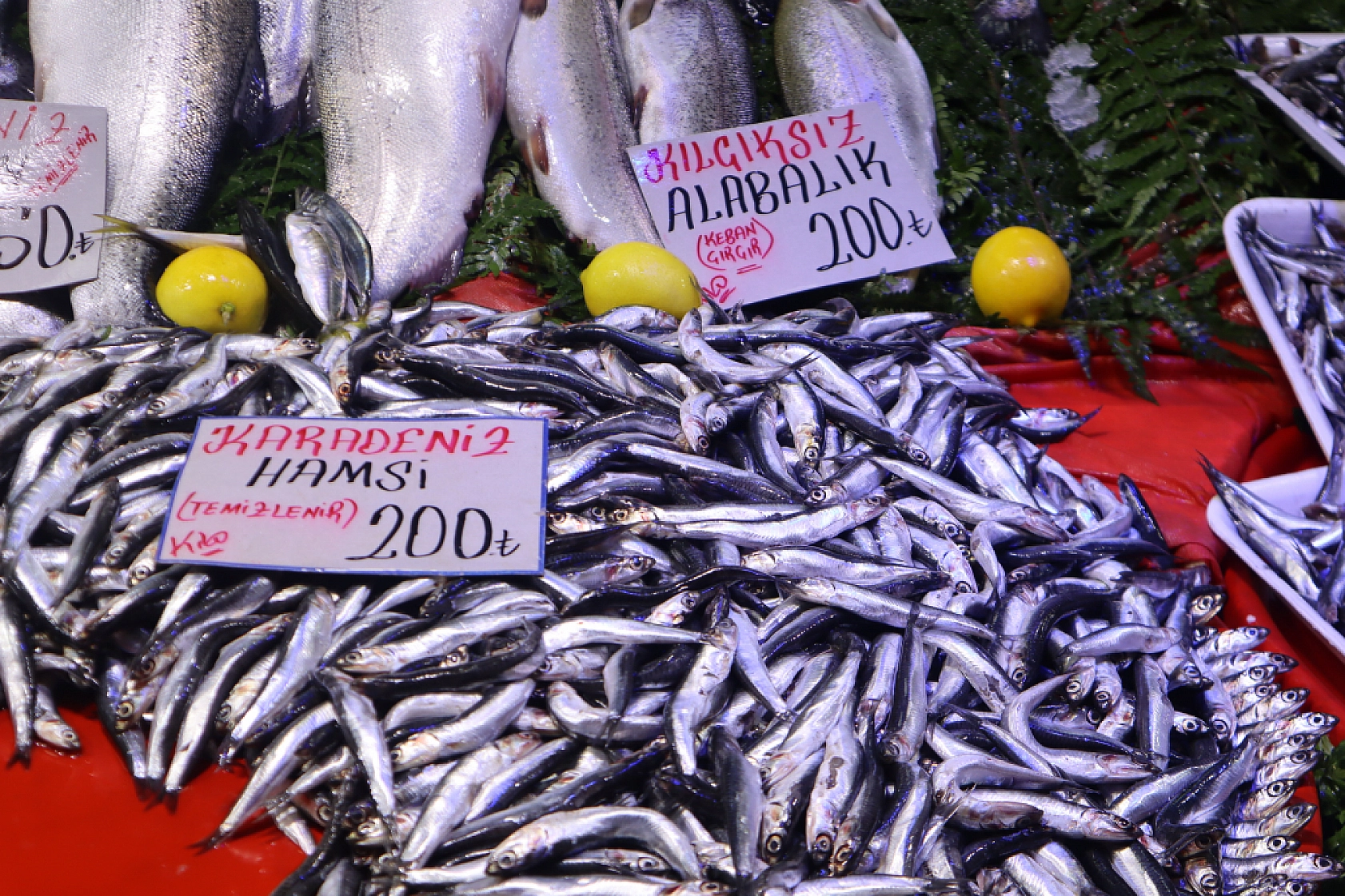Malatya'da Balık Sezonu Başladı! En Ucuz Balık Hangisi? İşte Fiyatlar...