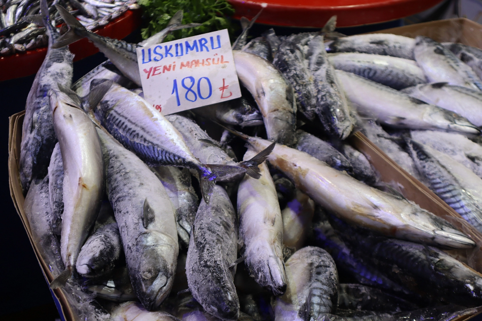 Malatya'da Balık Sezonu Başladı! En Ucuz Balık Hangisi? İşte Fiyatlar...