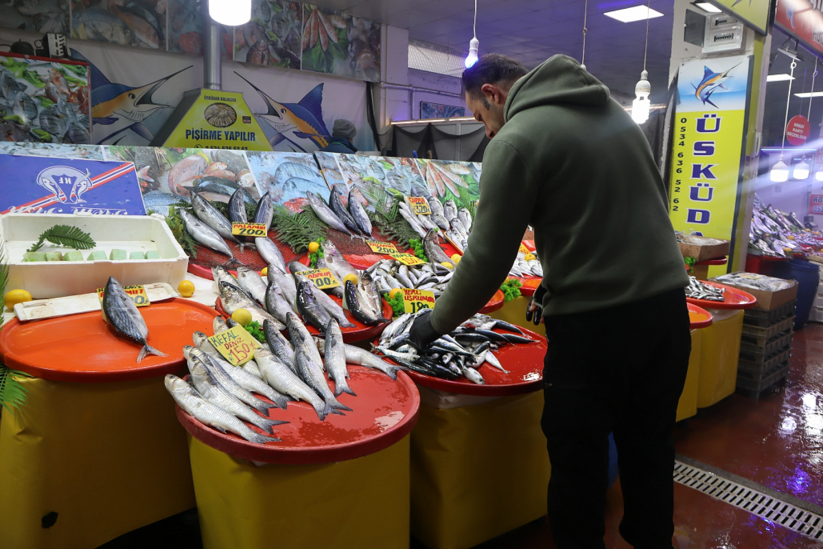 Malatya'da Balık Sezonu Başladı! En Ucuz Balık Hangisi? İşte Fiyatlar...