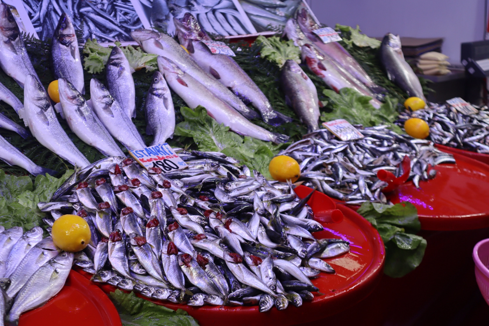 Malatya'da Balık Sezonu Başladı! En Ucuz Balık Hangisi? İşte Fiyatlar...