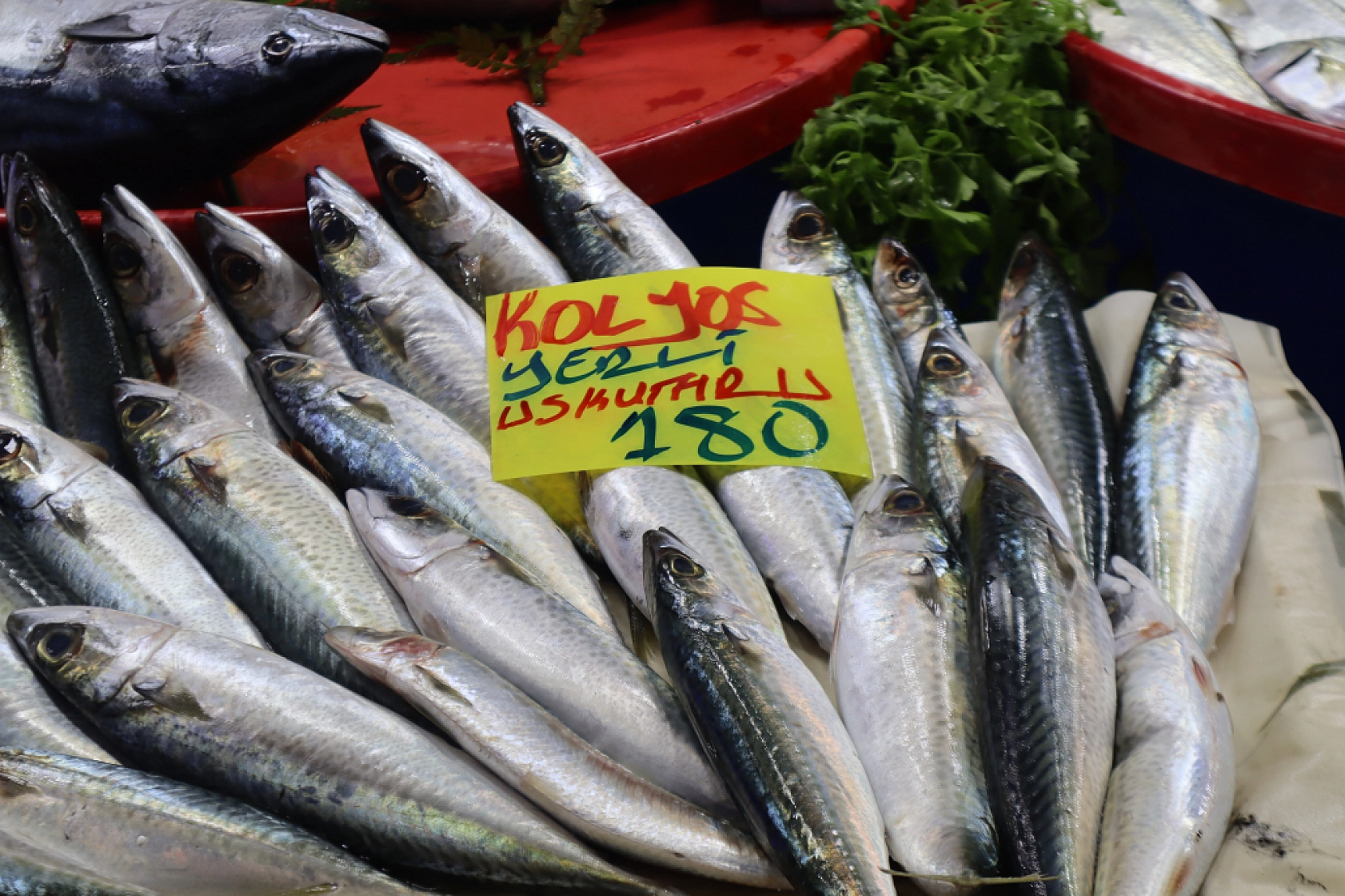 Malatya'da Balık Sezonu Başladı! En Ucuz Balık Hangisi? İşte Fiyatlar...