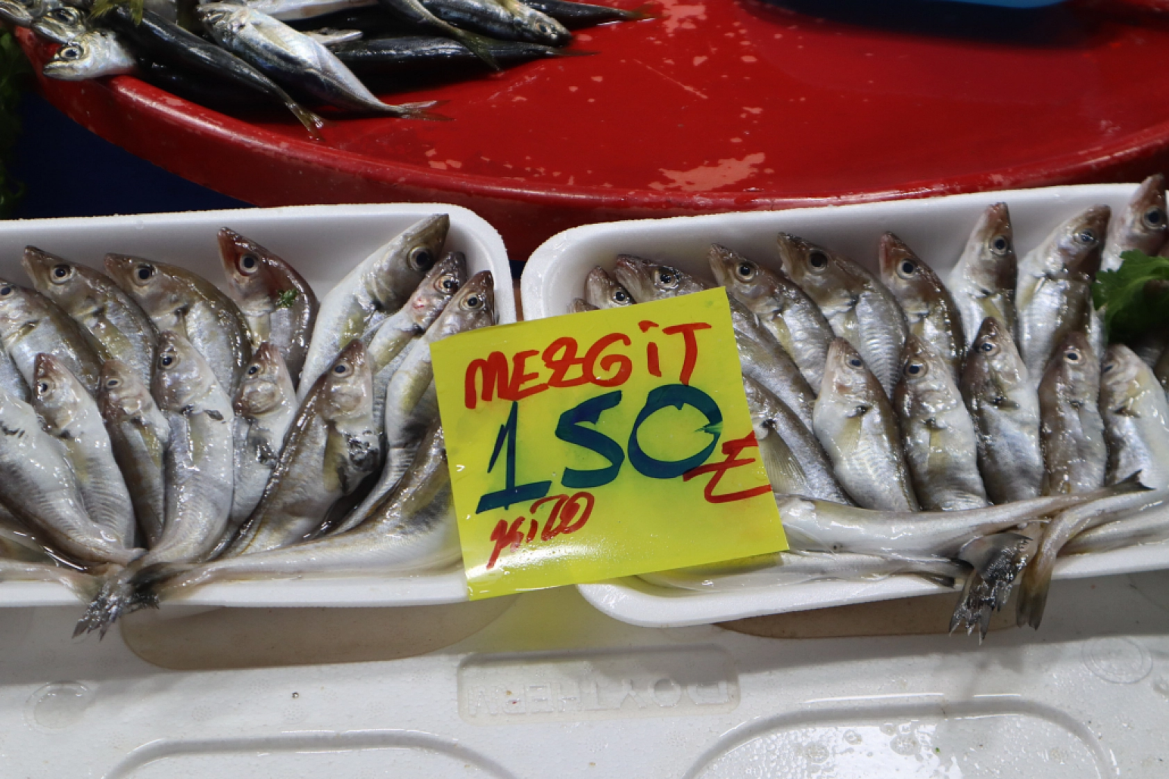 Malatya'da Balık Sezonu Başladı! En Ucuz Balık Hangisi? İşte Fiyatlar...