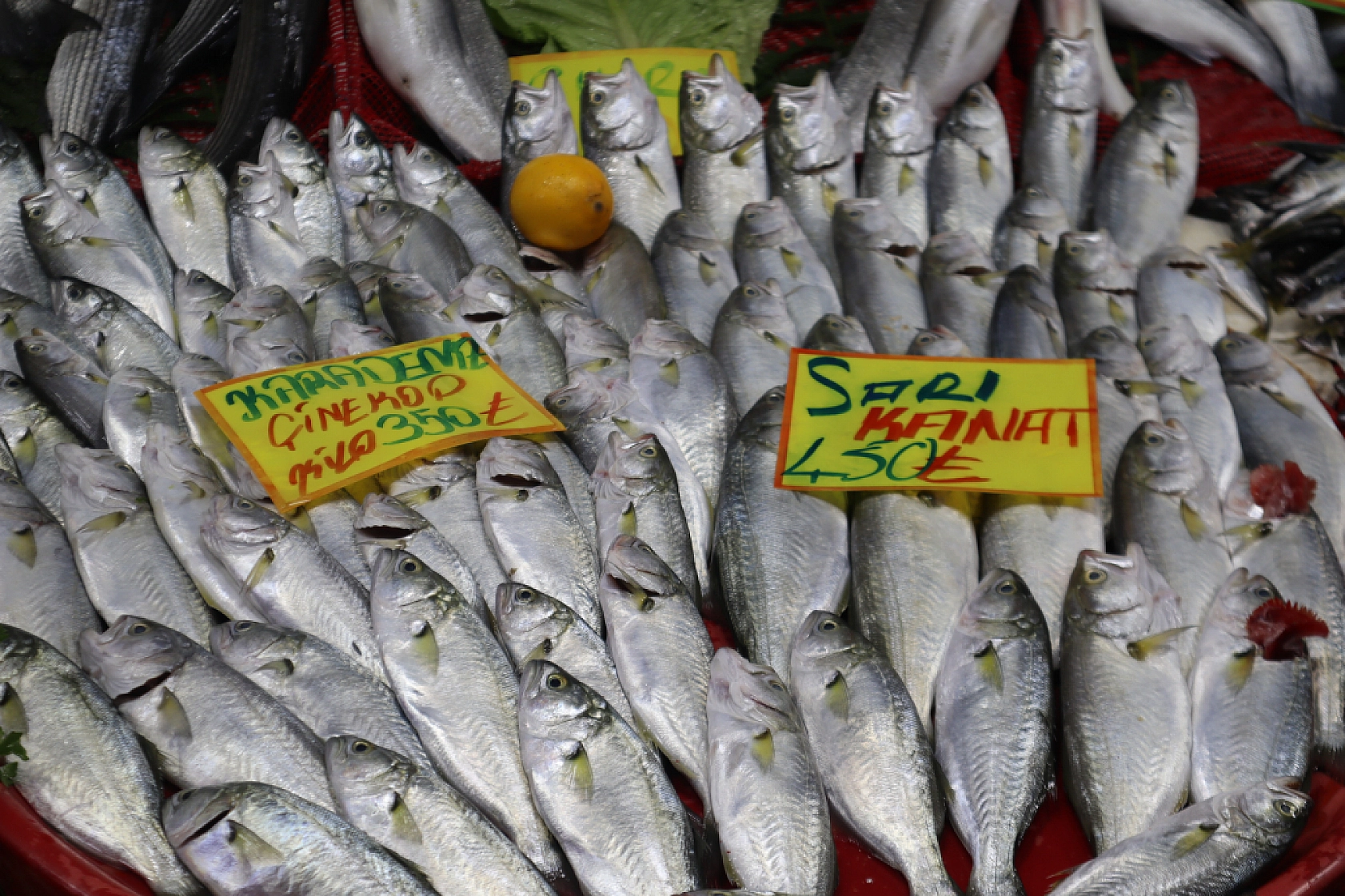 Malatya'da Balık Sezonu Başladı! En Ucuz Balık Hangisi? İşte Fiyatlar...