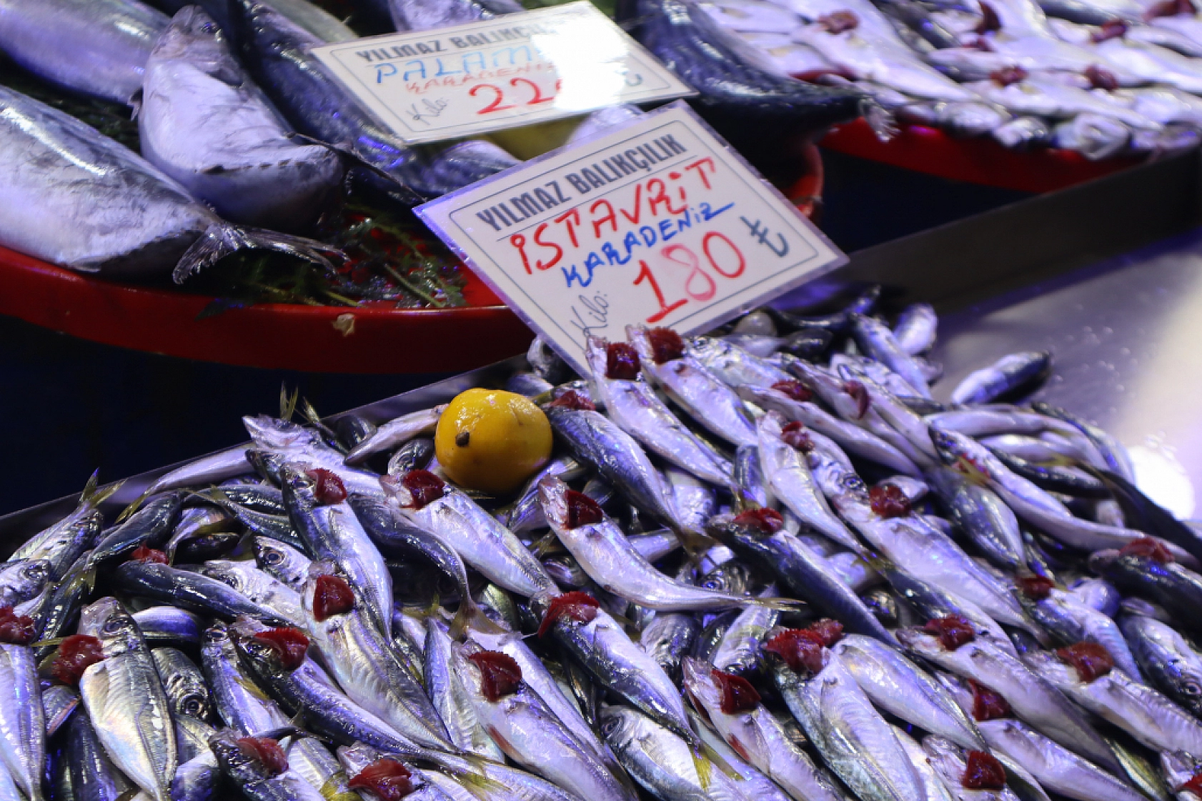 Malatya'da Balık Sezonu Başladı! En Ucuz Balık Hangisi? İşte Fiyatlar...
