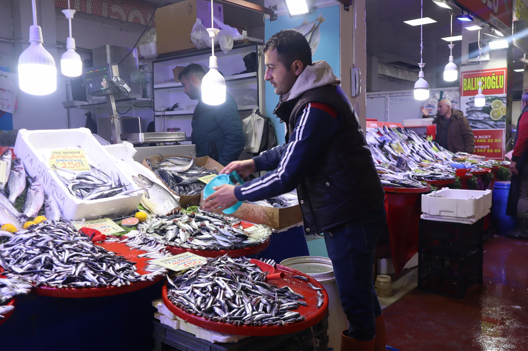 Malatya'da Balık Sezonu Başladı! En Ucuz Balık Hangisi? İşte Fiyatlar...