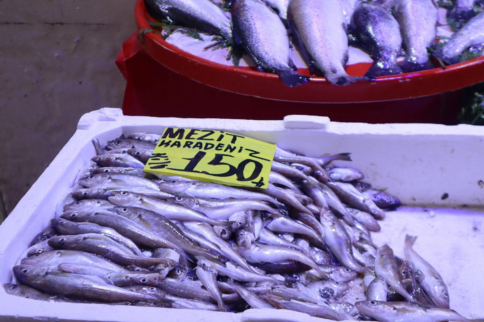 Malatya'da Balık Sezonu Başladı! En Ucuz Balık Hangisi? İşte Fiyatlar...