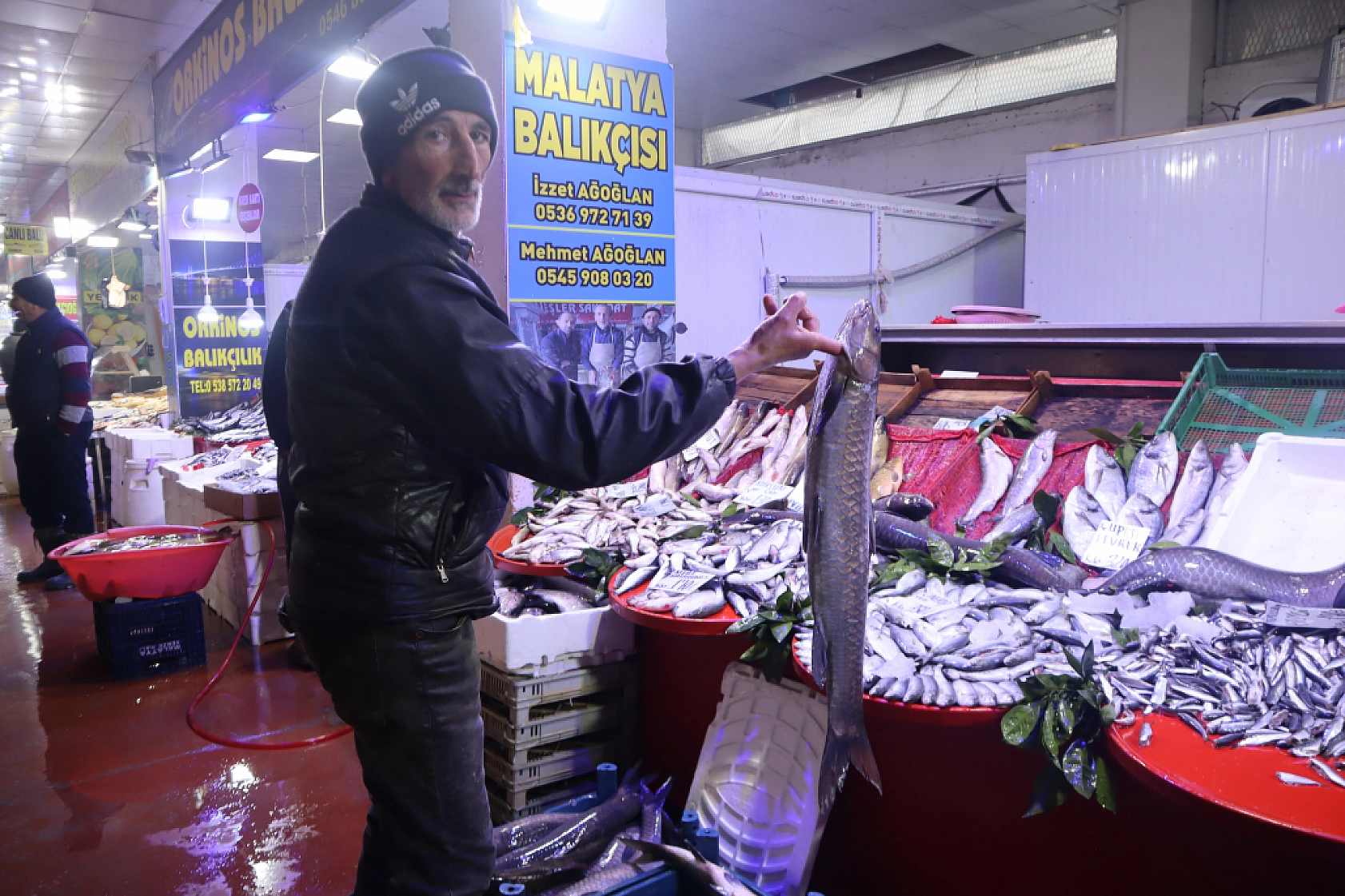 Malatya'da Balık Sezonu Başladı! En Ucuz Balık Hangisi? İşte Fiyatlar...