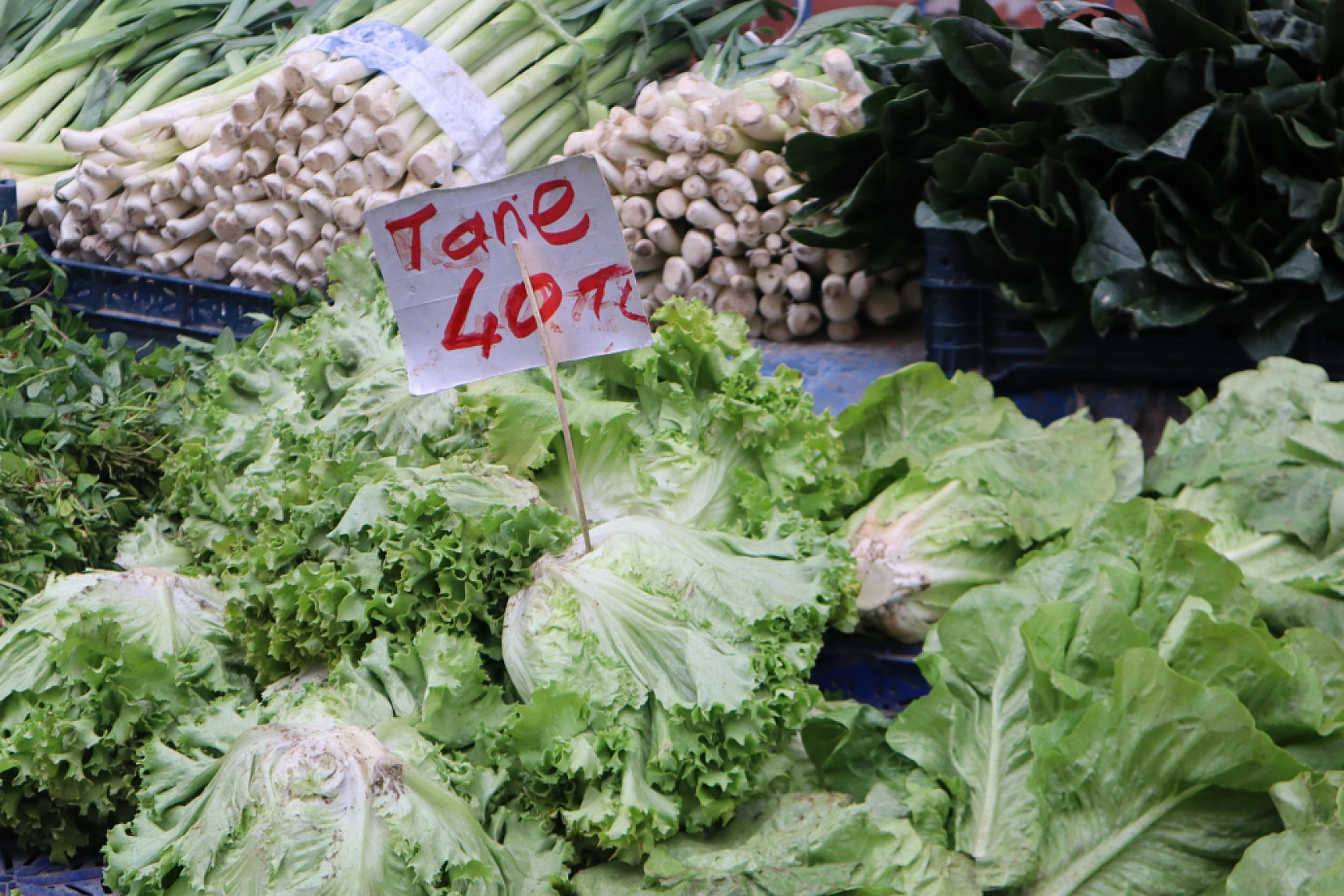 Malatyalılar Soğuk Havaya Rağmen Pazara Akın Ettiler! İşte Güncel Pazar Fiyatları….