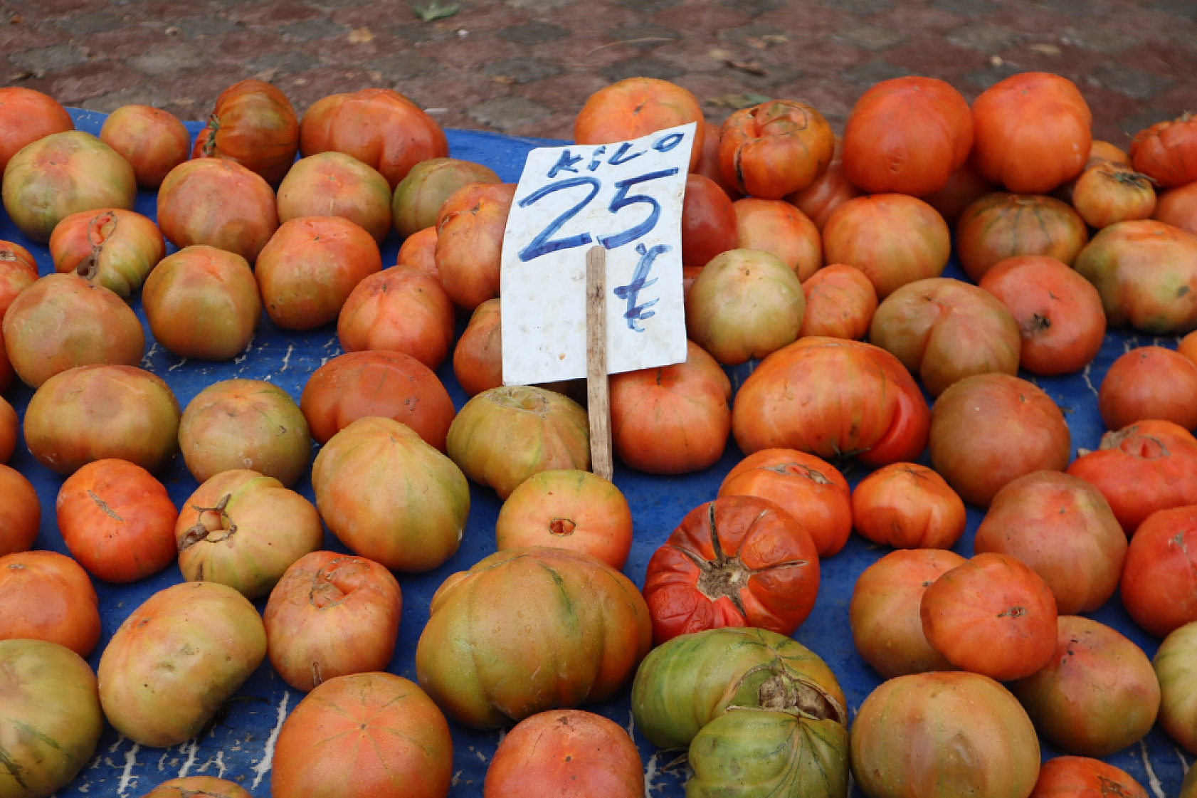 Malatyalılar Soğuk Havaya Rağmen Pazara Akın Ettiler! İşte Güncel Pazar Fiyatları….