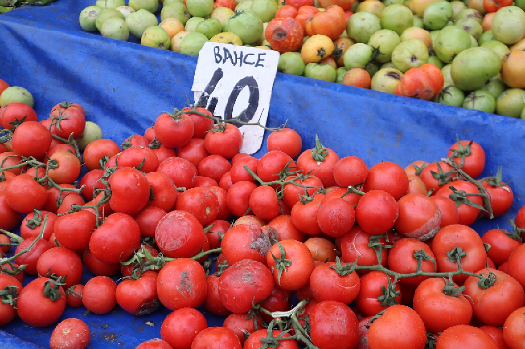 Malatyalılar Soğuk Havaya Rağmen Pazara Akın Ettiler! İşte Güncel Pazar Fiyatları….