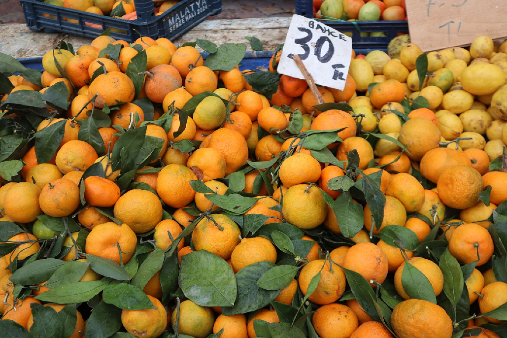 Malatyalılar Soğuk Havaya Rağmen Pazara Akın Ettiler! İşte Güncel Pazar Fiyatları….