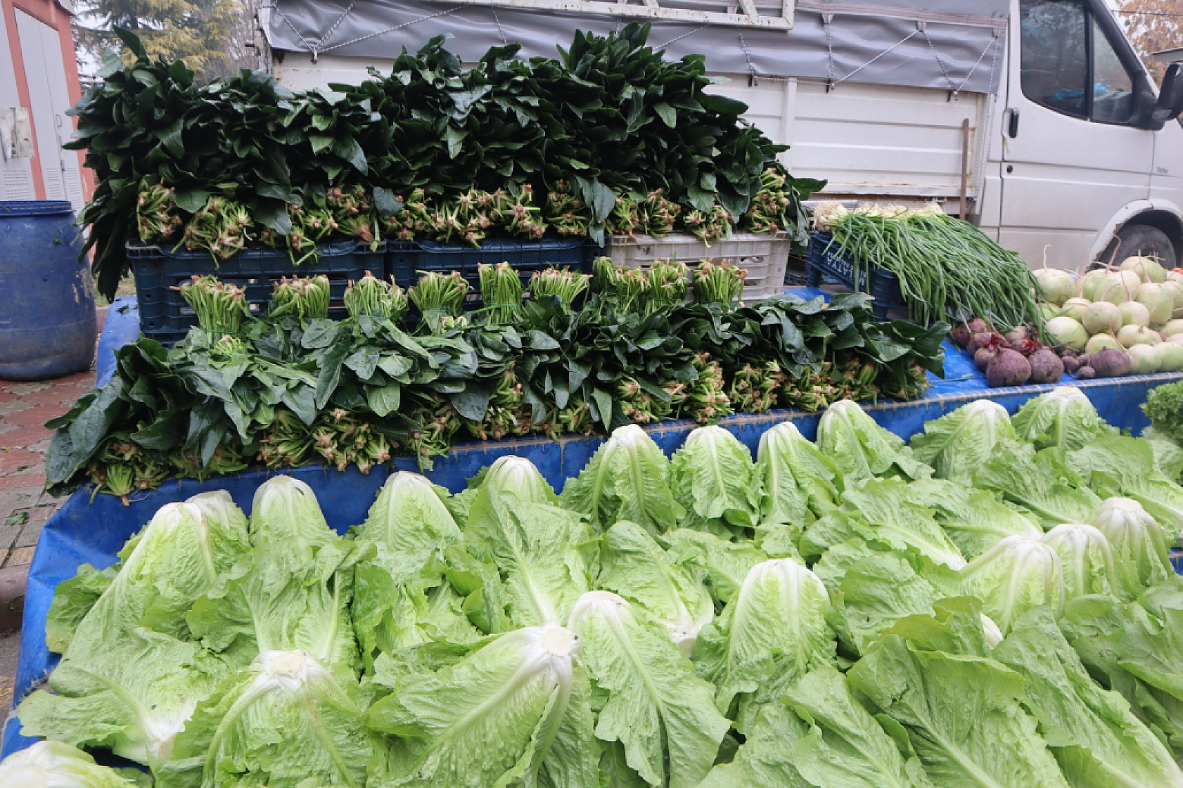 Malatyalılar Soğuk Havaya Rağmen Pazara Akın Ettiler! İşte Güncel Pazar Fiyatları….