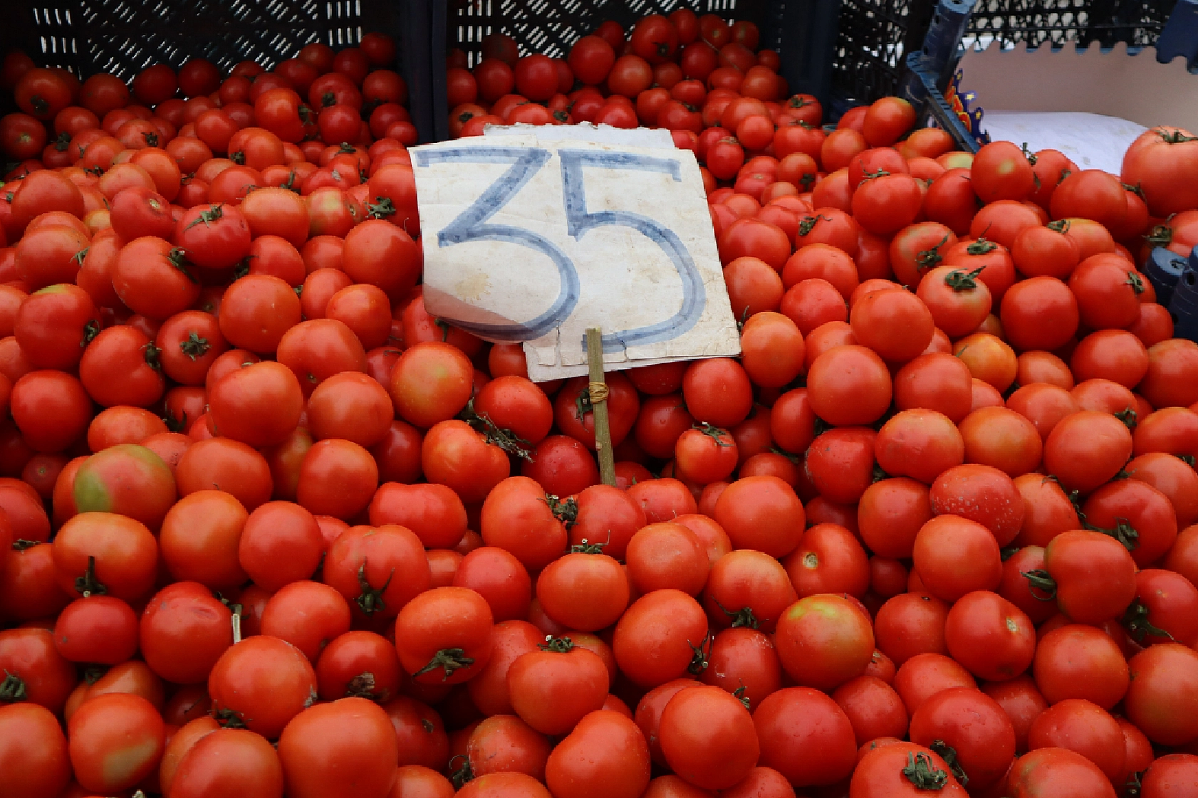 Malatyalılar Soğuk Havaya Rağmen Pazara Akın Ettiler! İşte Güncel Pazar Fiyatları….