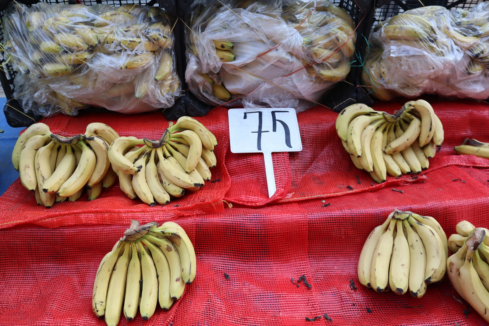 Soğuk hava pazar fiyatını etkiledi: Sebze yüz güldürürken, meyve cep yaktı!