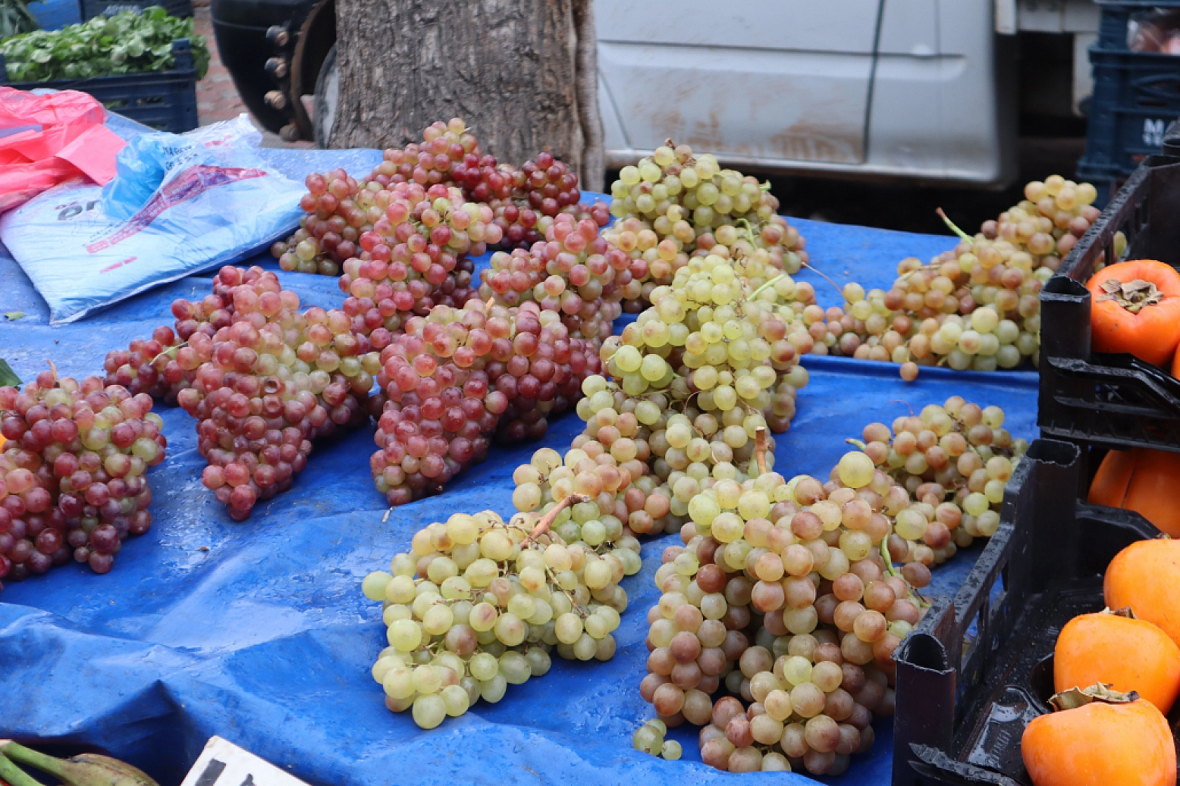Malatyalılar Soğuk Havaya Rağmen Pazara Akın Ettiler! İşte Güncel Pazar Fiyatları….