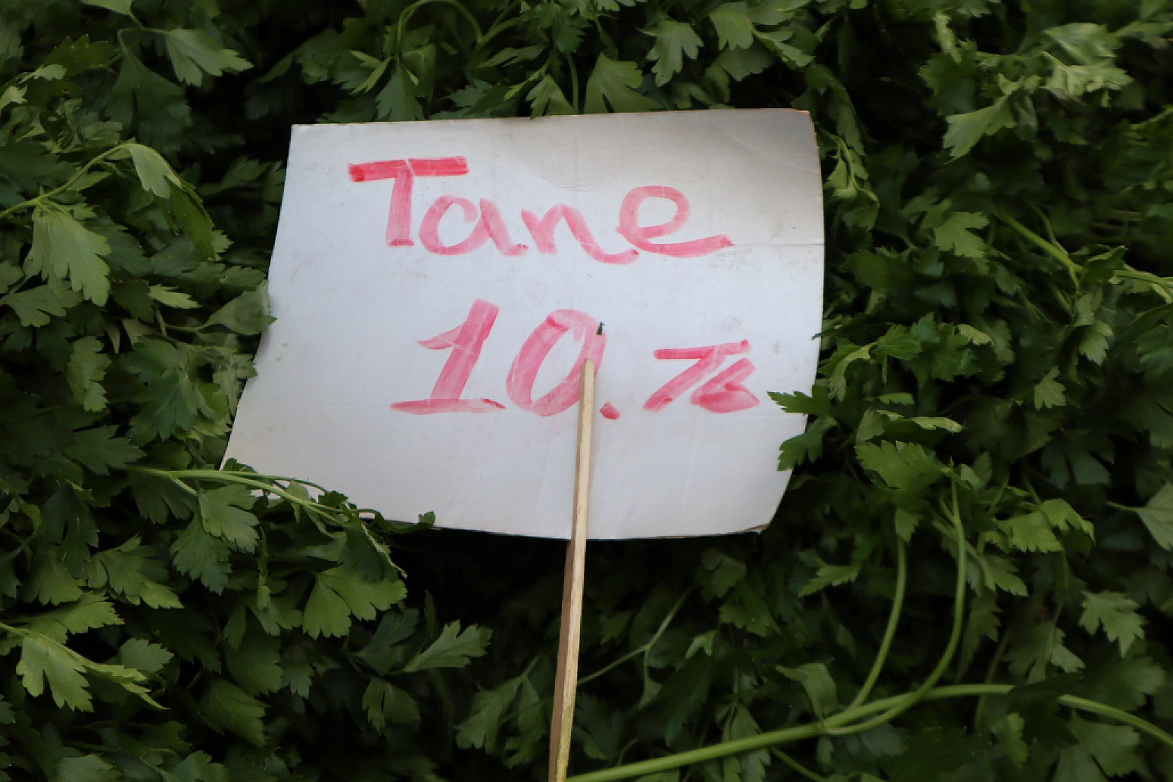 Soğuk hava pazar fiyatını etkiledi: Sebze yüz güldürürken, meyve cep yaktı!