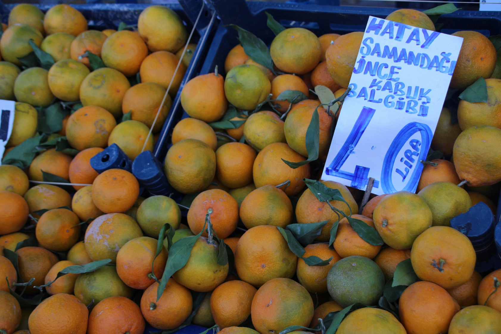 Malatya'da Semt Pazarı ile Hal Arasındaki Fiyat Farklar Dikkat Çekiyor!
