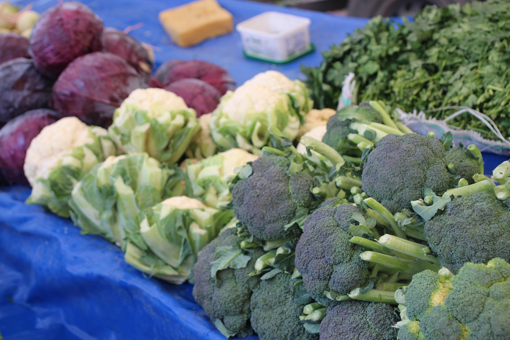 Malatya'da Semt Pazarı ile Hal Arasındaki Fiyat Farklar Dikkat Çekiyor!
